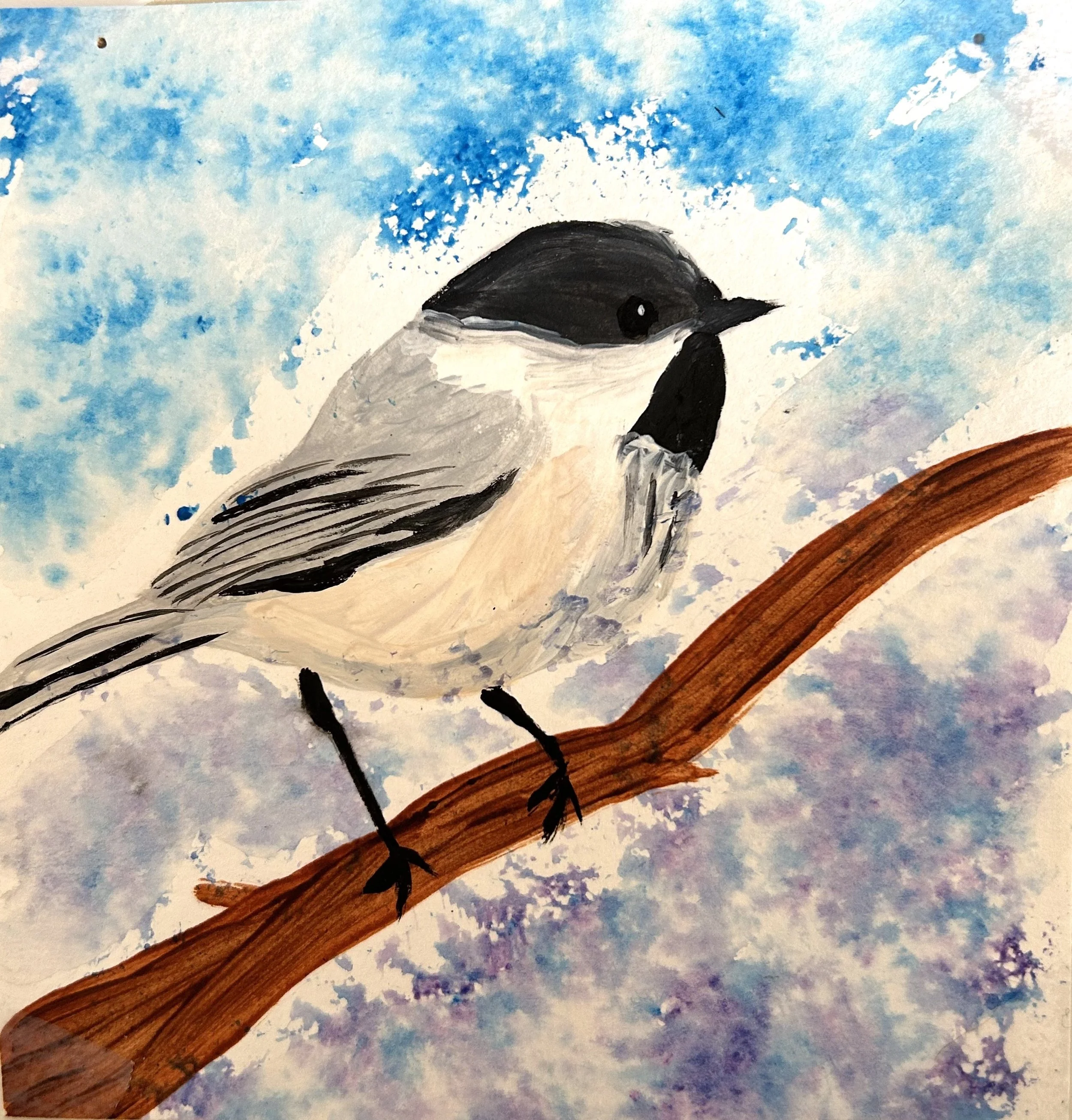 Carolina Chickadee