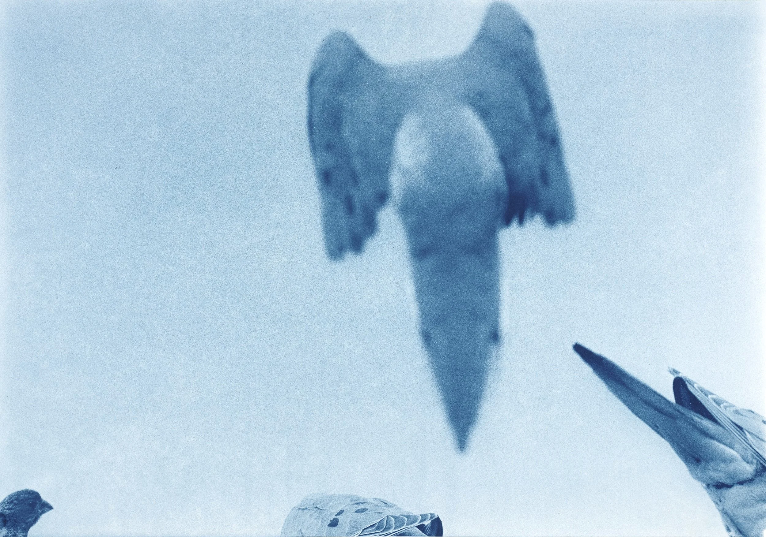 Birds-Doc_018.jpg