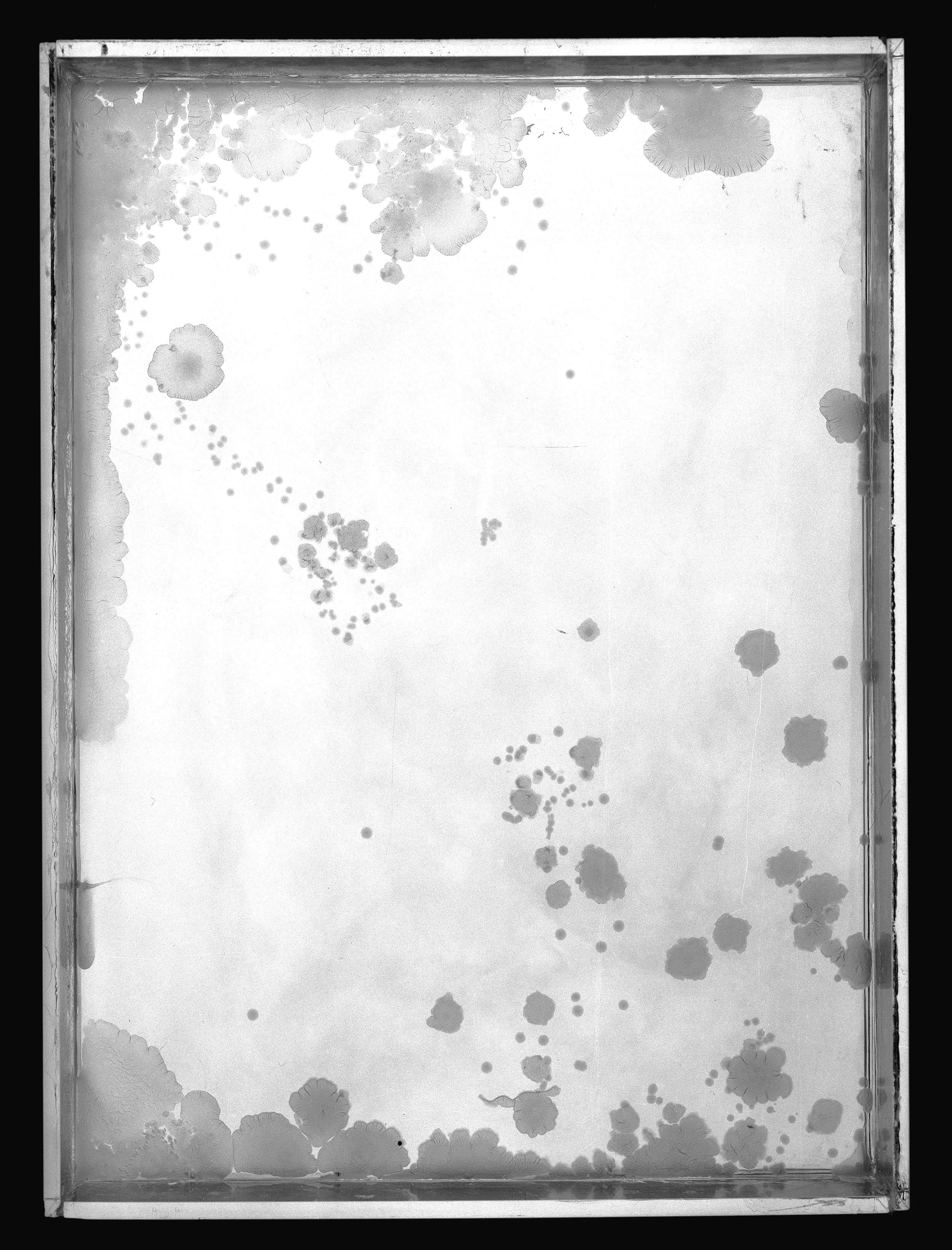 2023_Plates_1B_8x.jpg