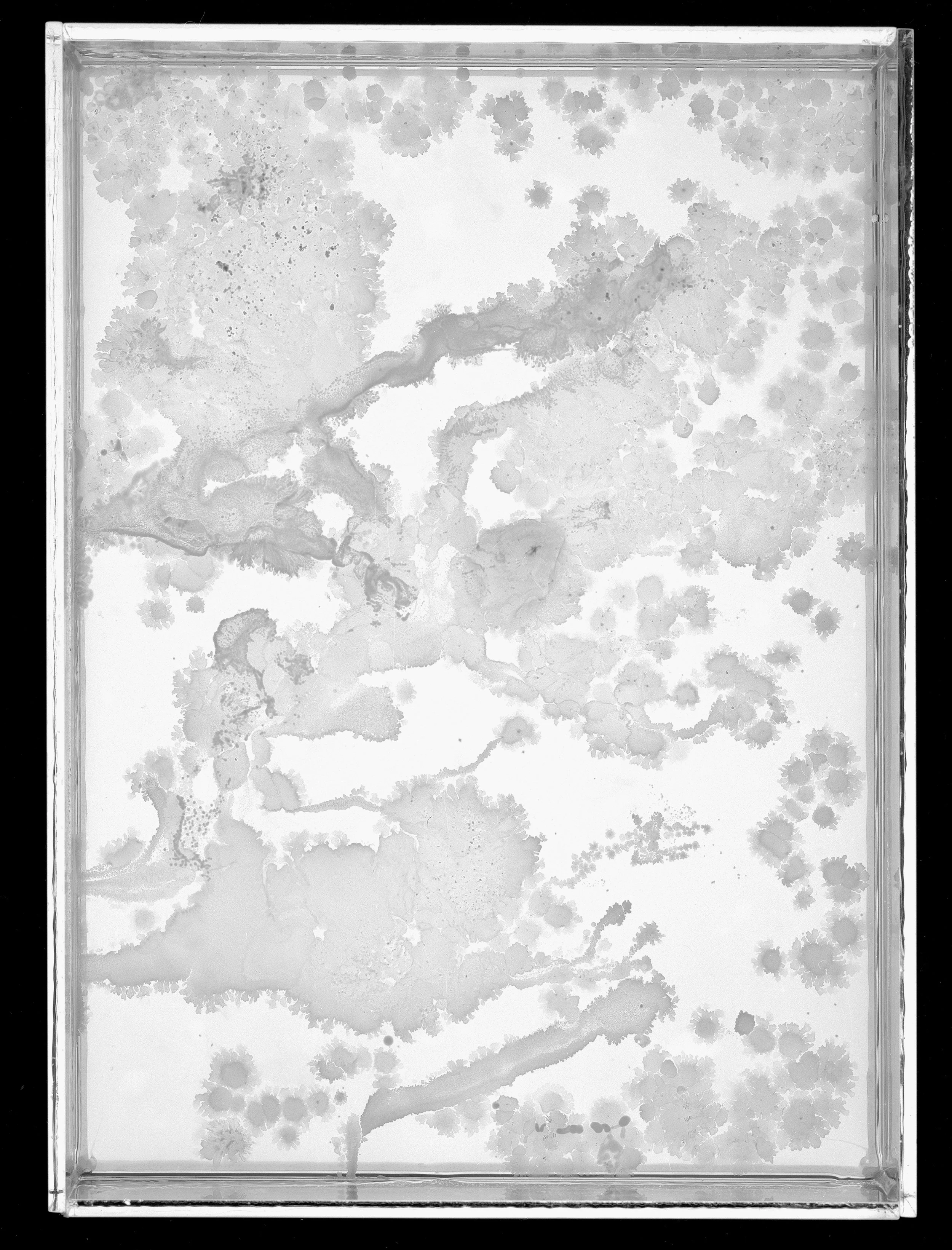2023_Plates_12B_8x.jpg