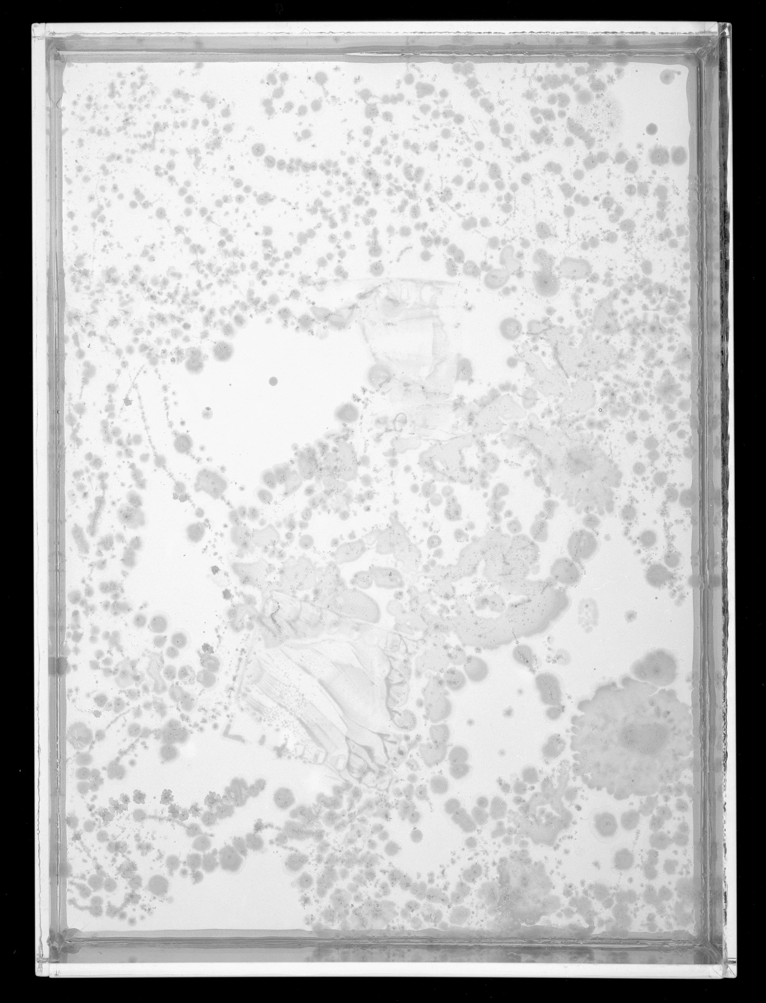 2023_Plates_16A_8x.jpg