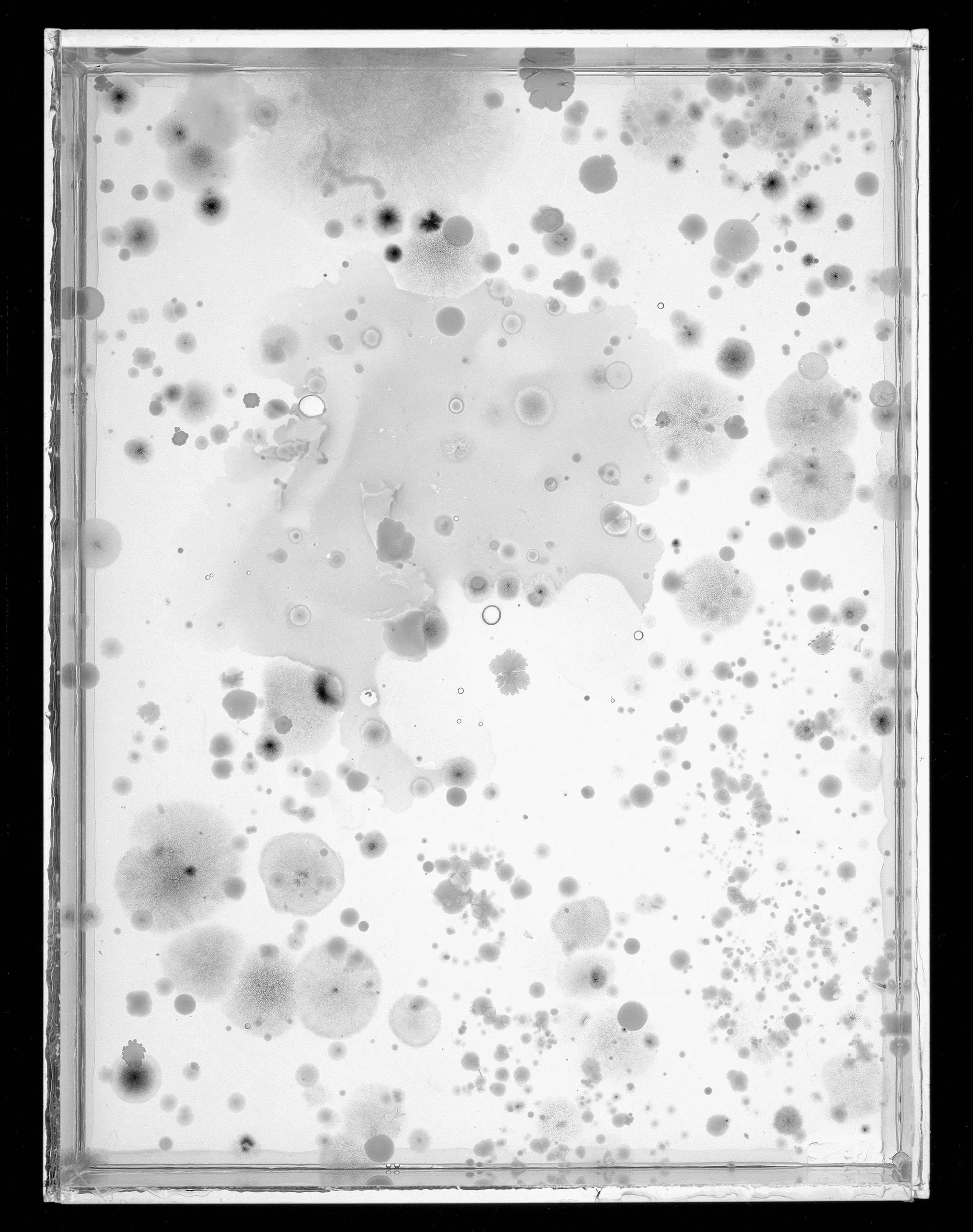 2023_Plates_17B_8x.jpg