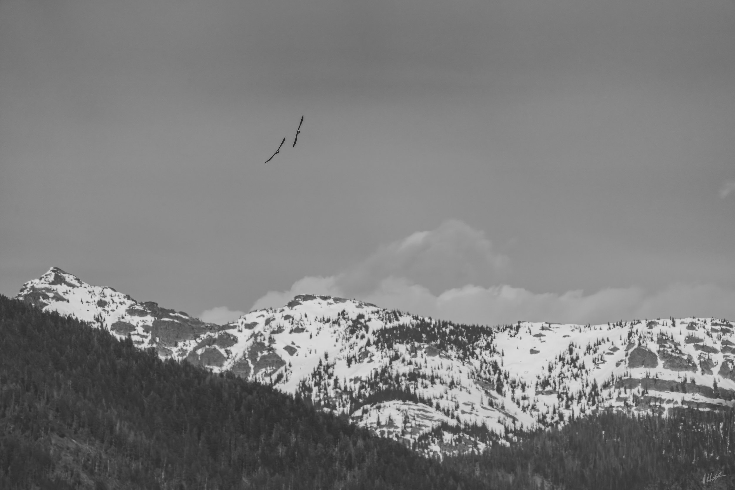 Idaho 2024-3.jpeg