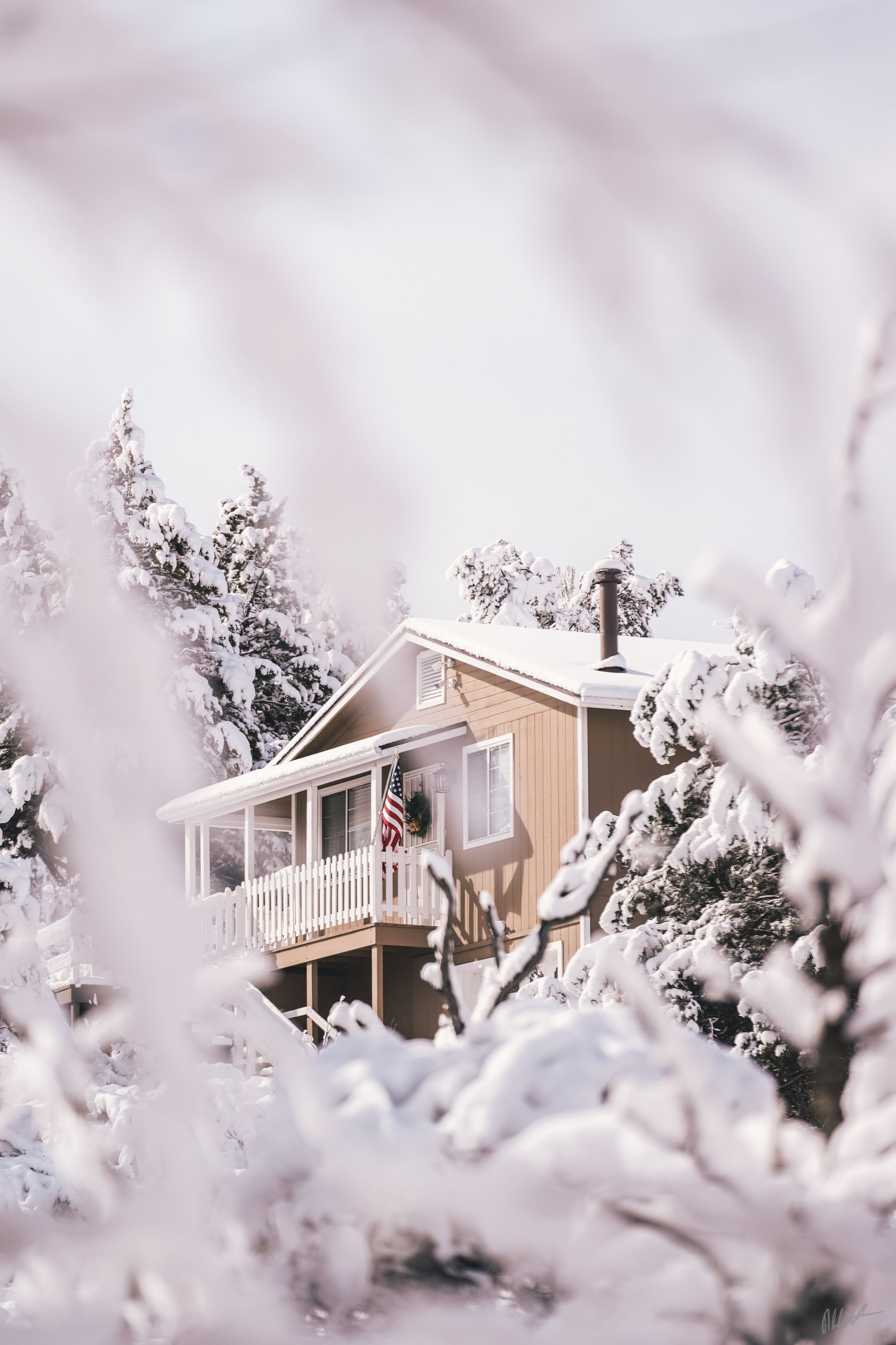March snow-3.jpeg