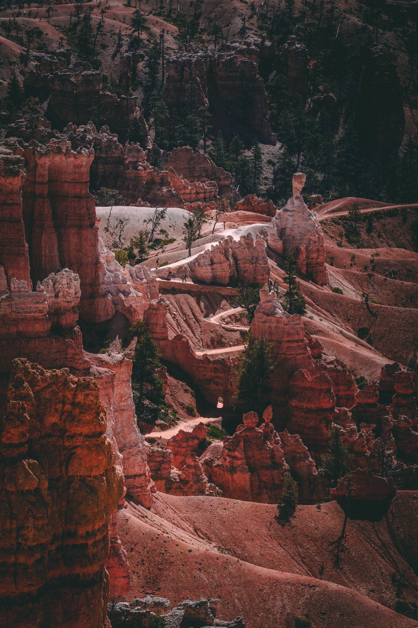 Bryce canyon.jpg