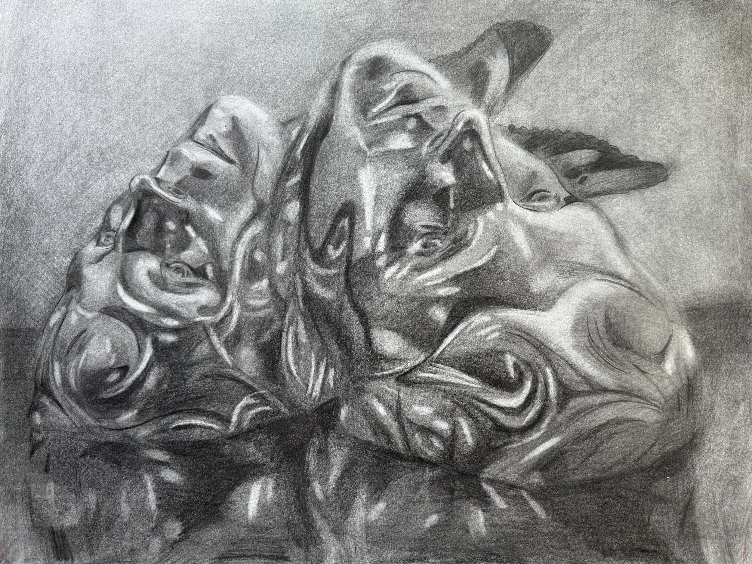 STUDY - BOUQUET
graphite on paper | 17" x 22" | 2025