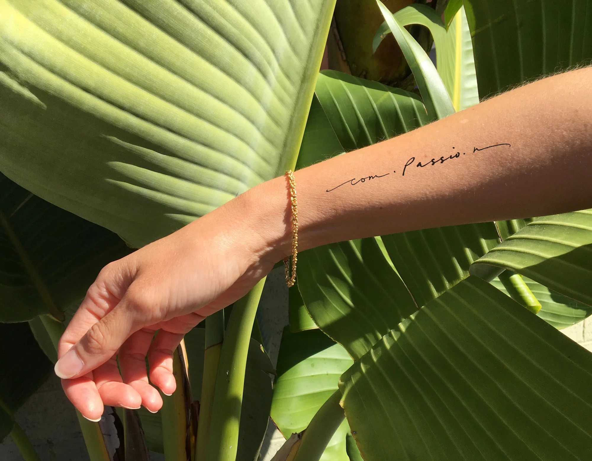CompassionTattooByPasadya.jpg
