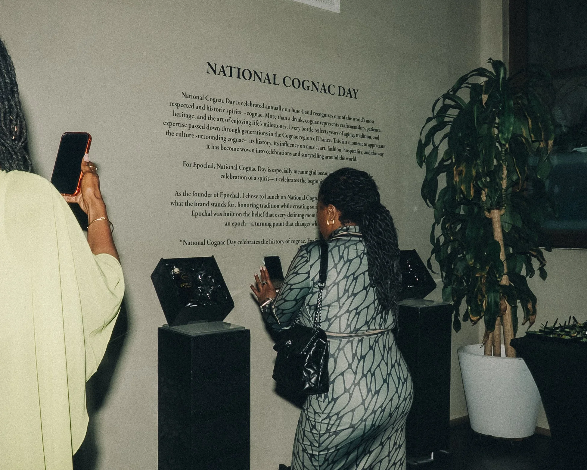 _DSC6248.jpeg