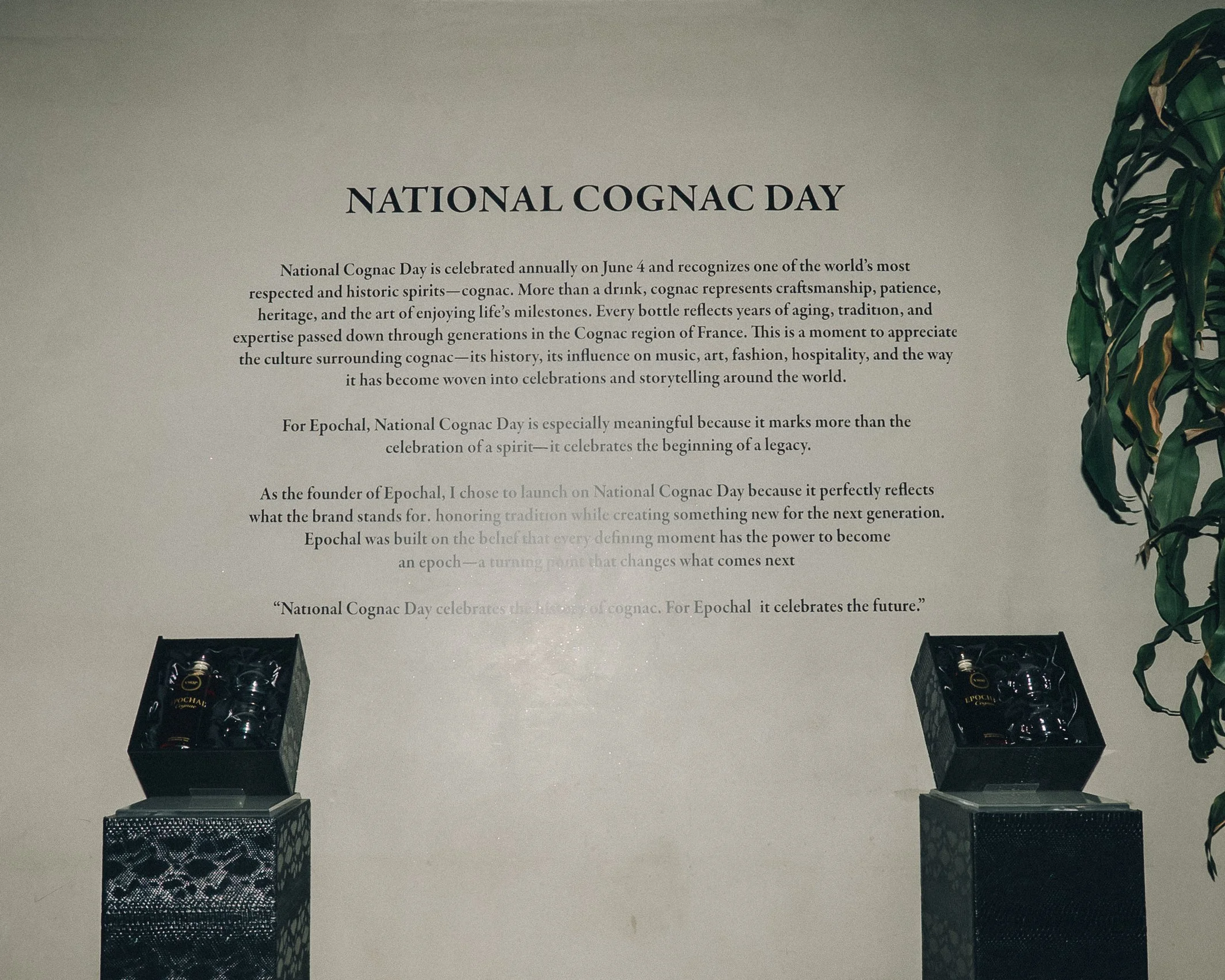 _DSC6205.jpeg