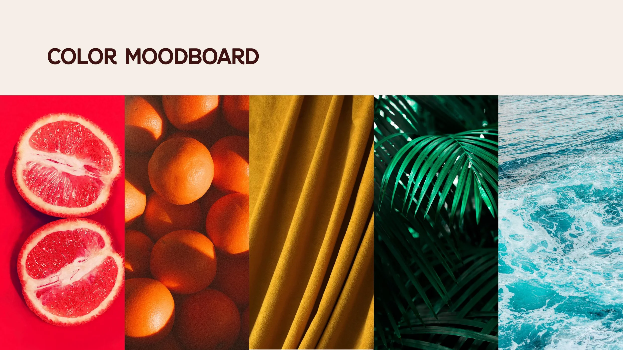 MoniqueBrandGuidelines-12.jpg