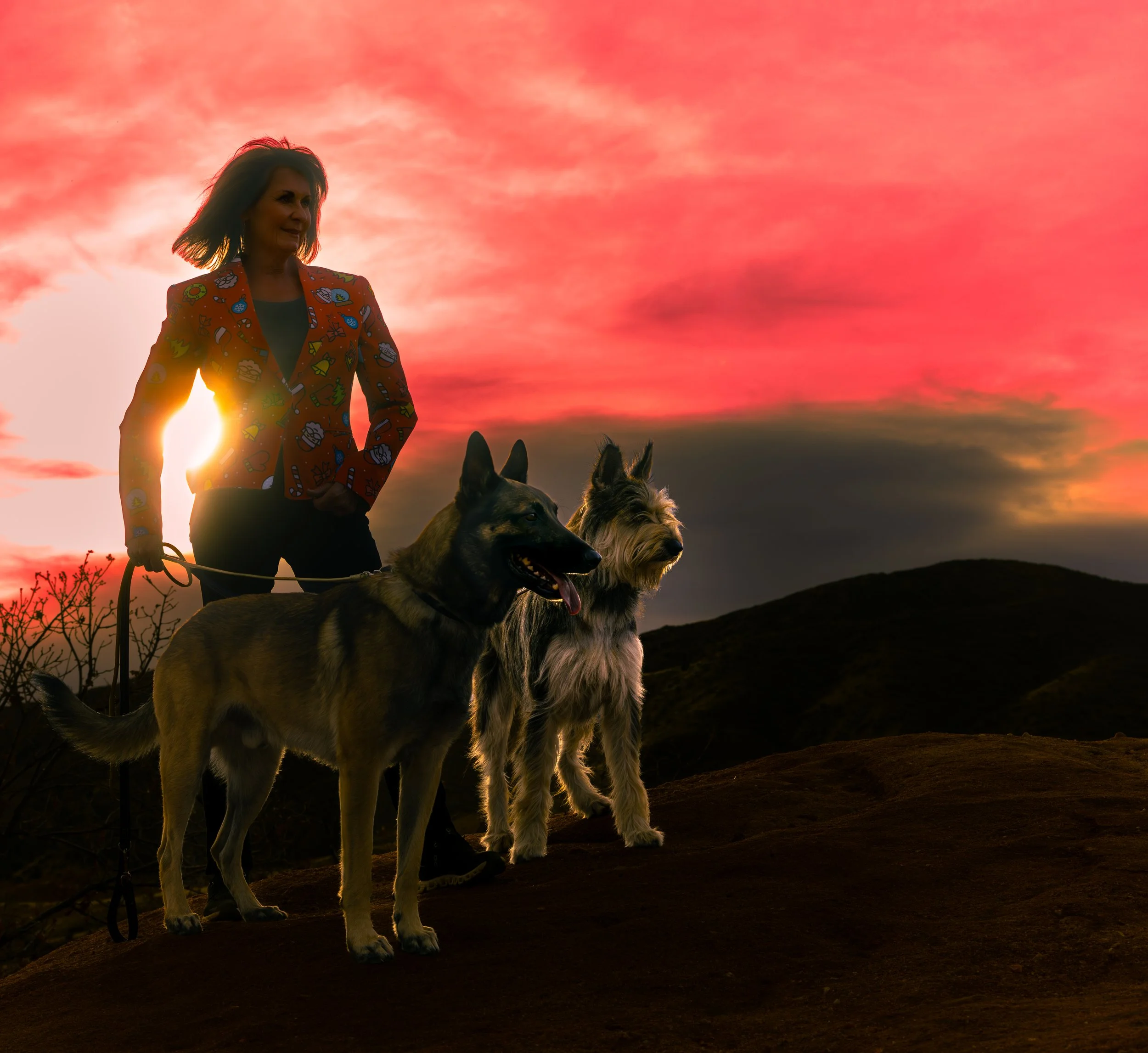 A woman walking two dogs on a hill at sunset with a vibrant pink and orange sky.