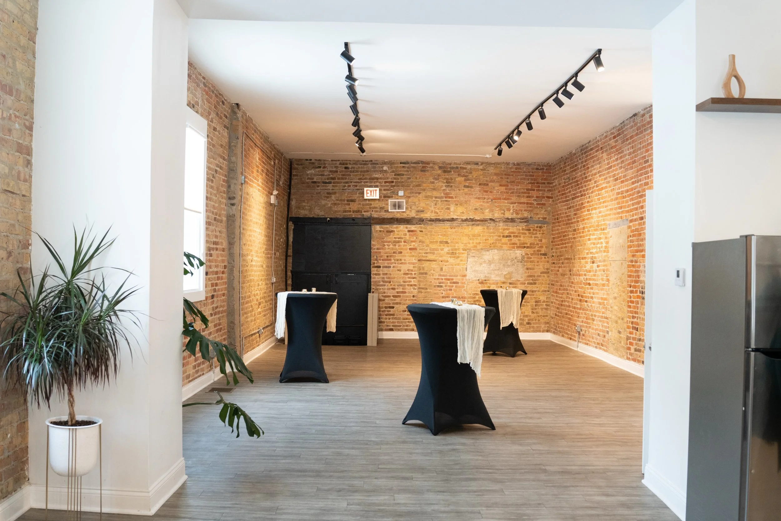 Interior of a modern space with exposed brick walls, track lighting, a small black storage cabinet, dining table with chairs, and a large potted plant near the entrance.
