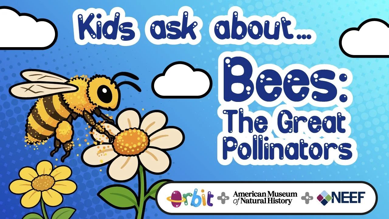 Kids ask: Do all bees sting?