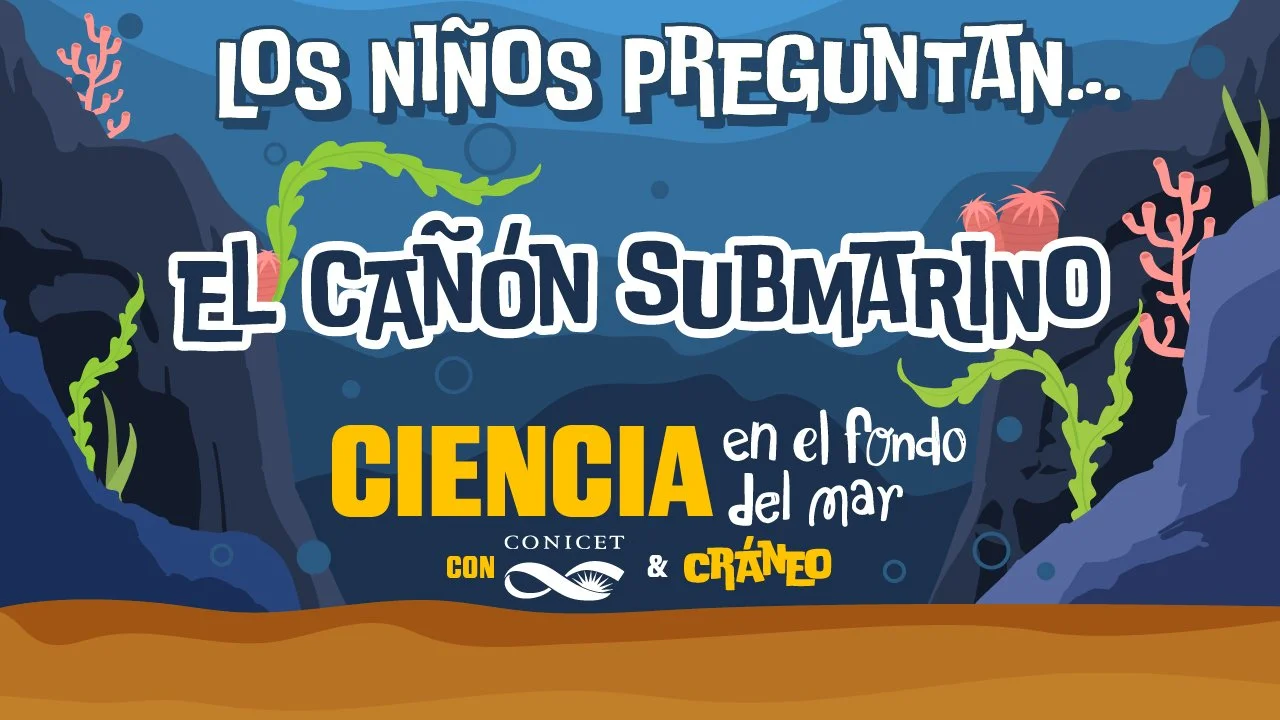 ¿Qué son los cañones submarinos?