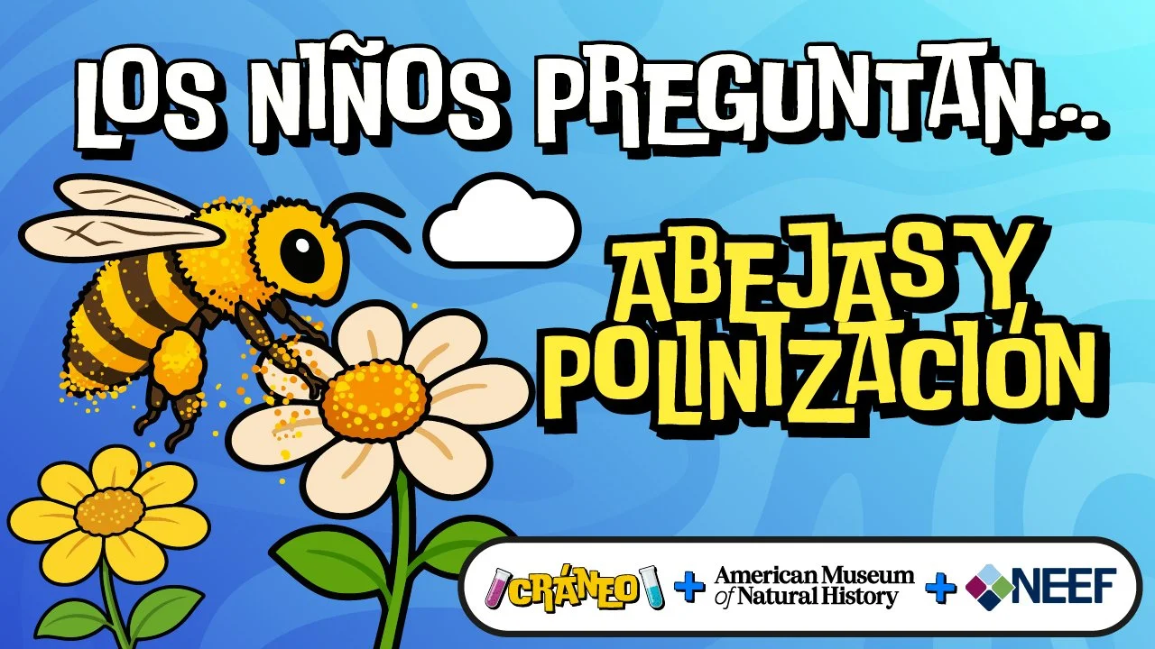 ¿Qué es la polinización?