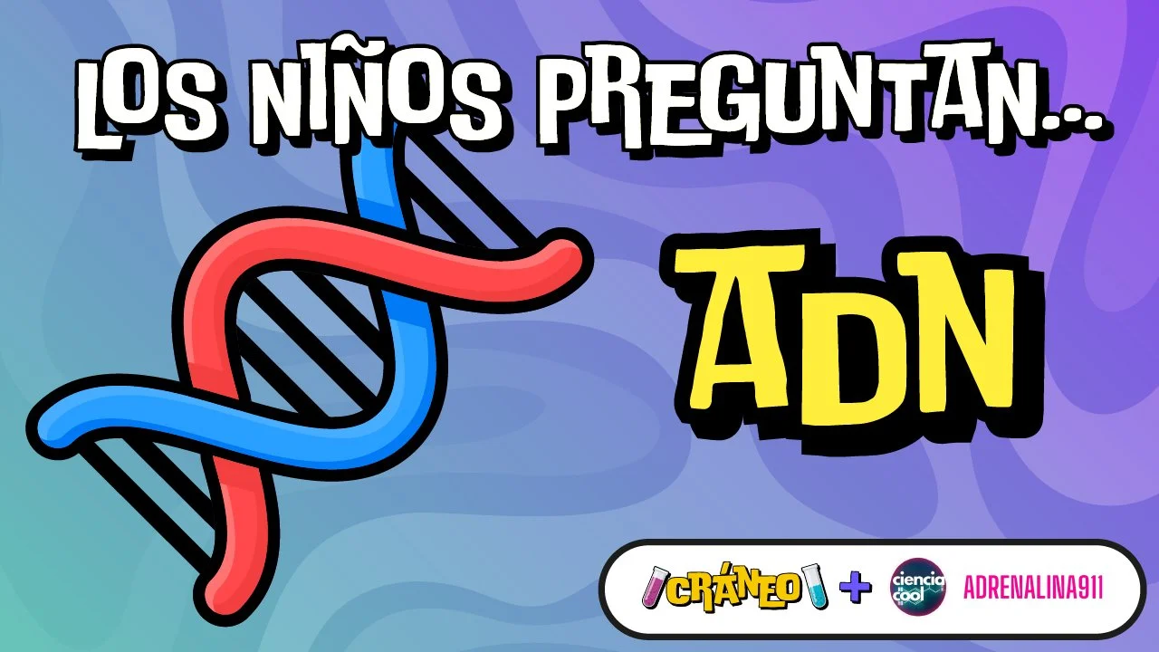 ¿Qué es el ADN?