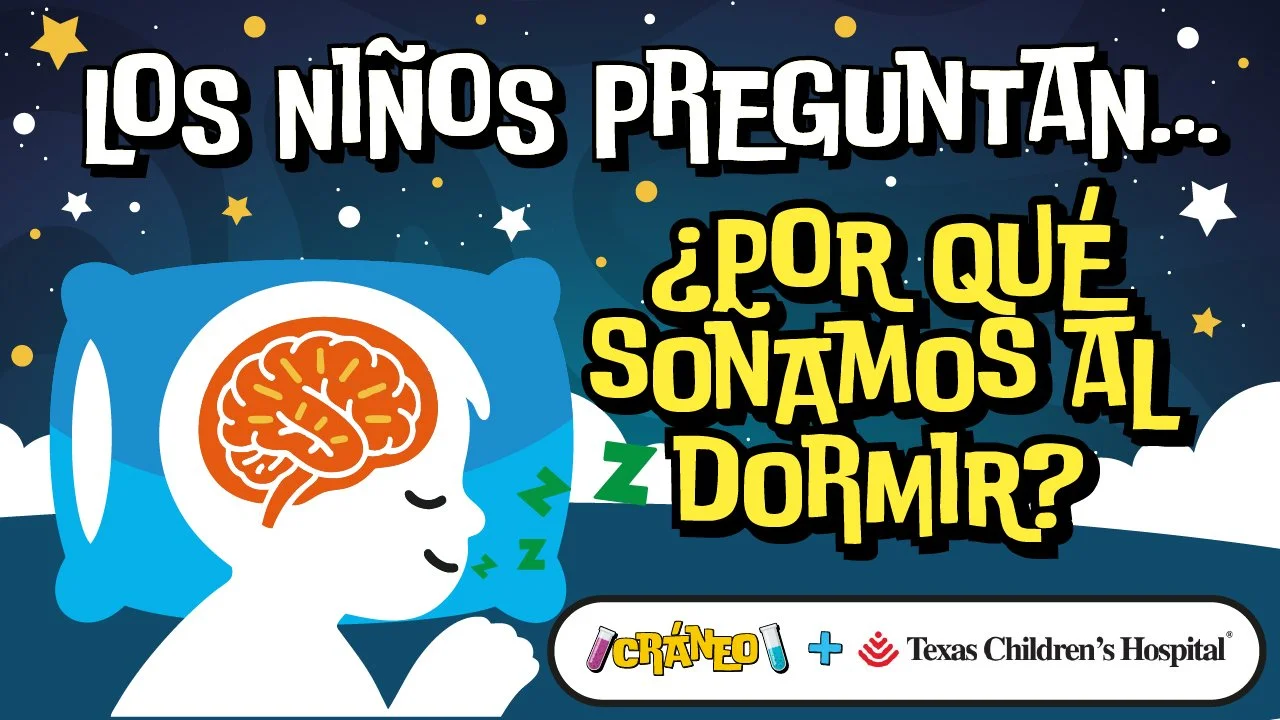 ¿Por qué soñamos al dormir?