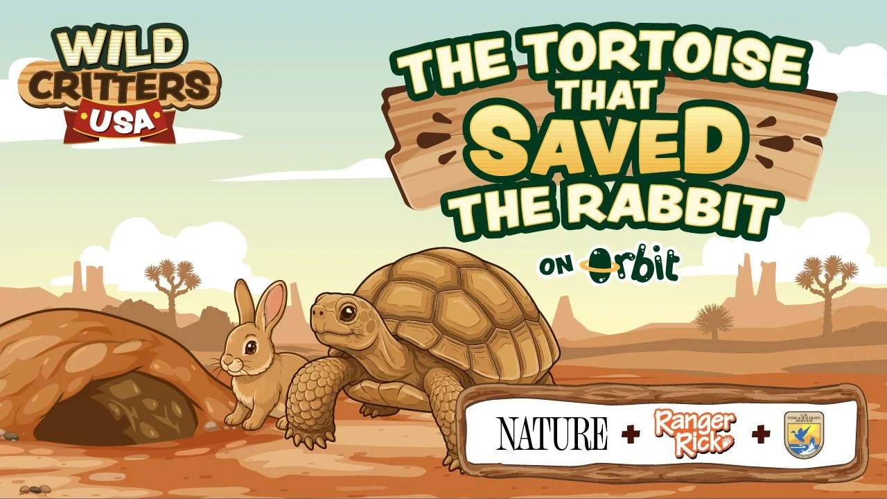 How do desert tortoises help other animals survive?