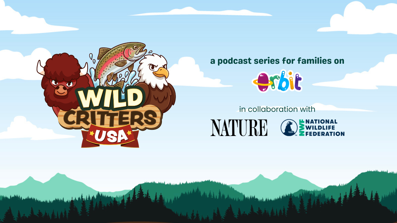 Wild Critters USA series artwork, including Orbit, PBS Nature and the National Wildlife Federation