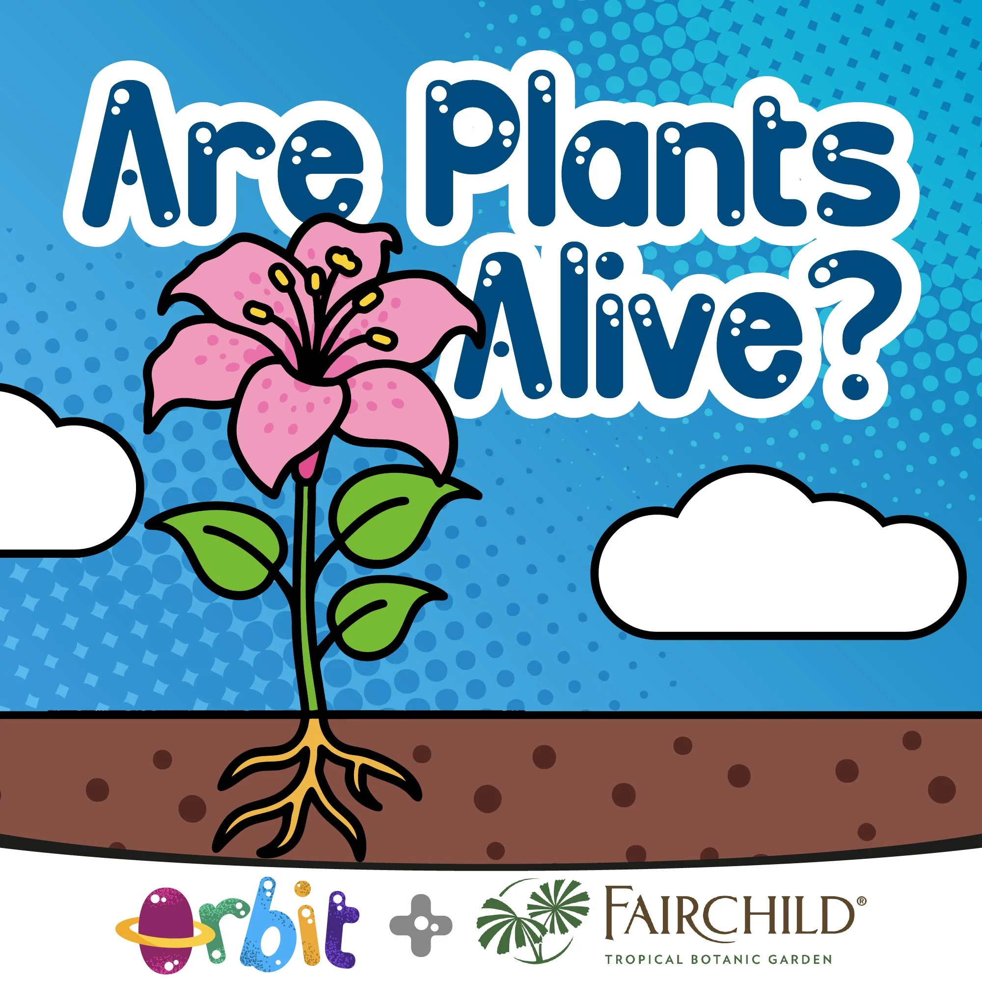 Cover art for episode of Orbit