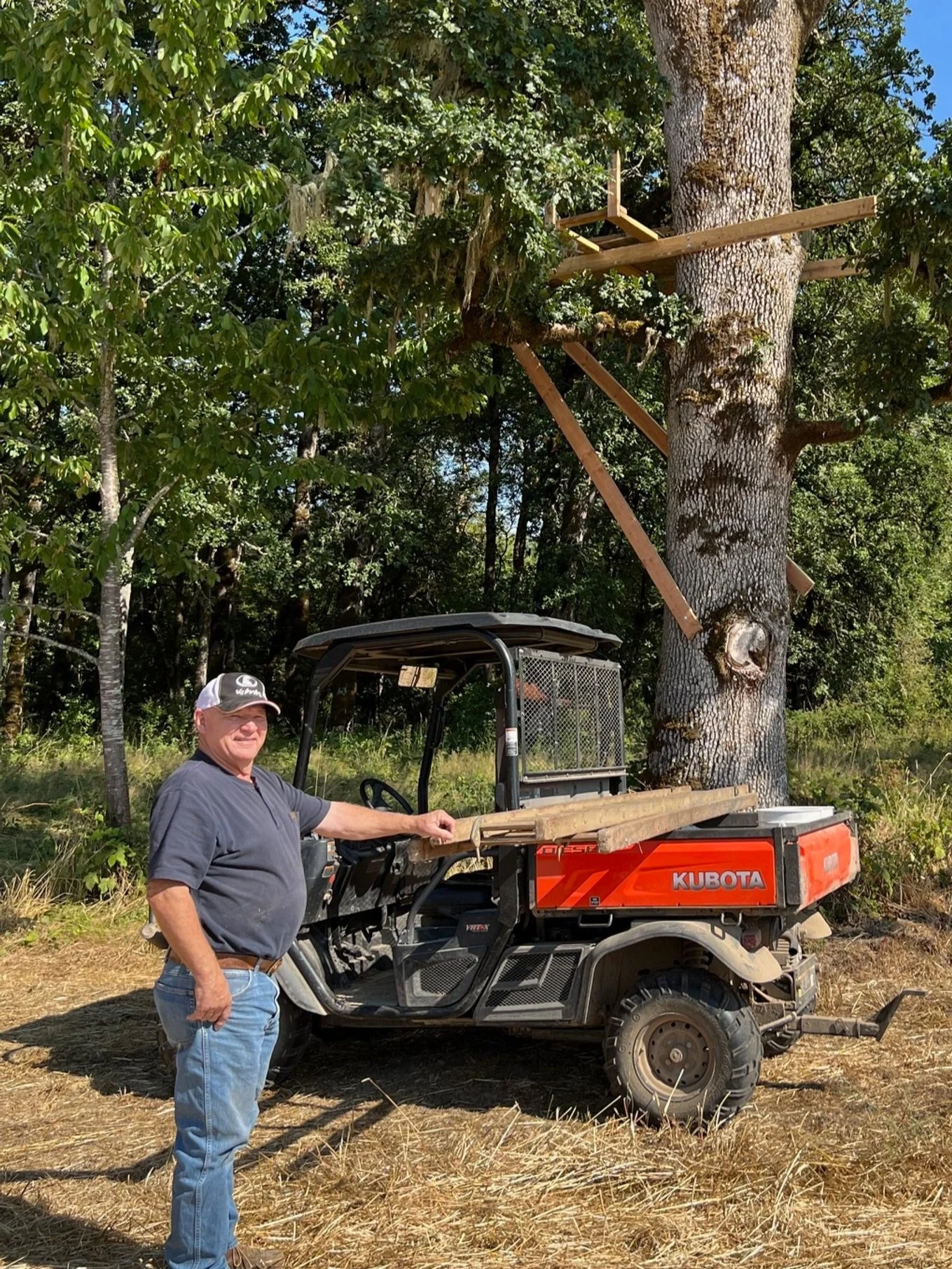 A man standing next to a utility vehicle on a grassy area in a wooded setting, with a large tree that has wooden support beams attached to it.