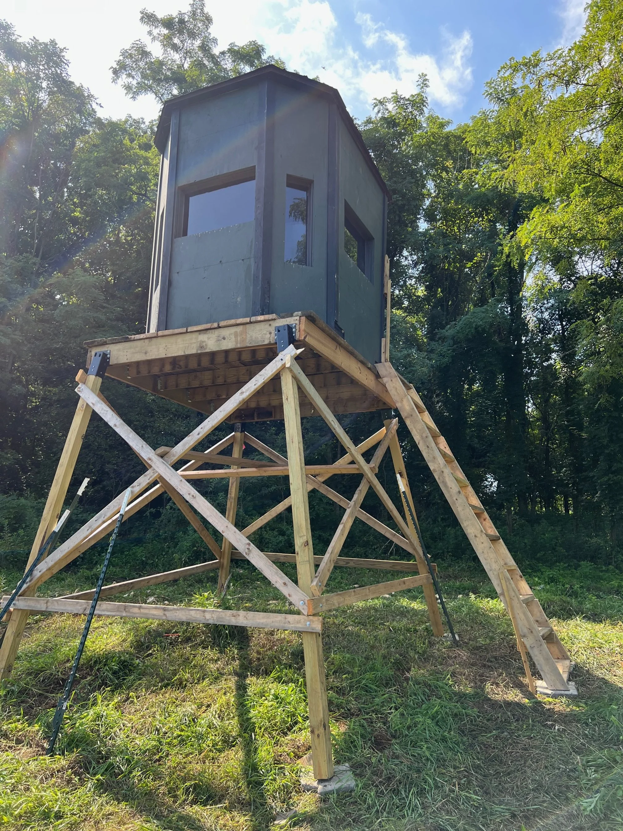 A small elevated wooden hunting bling in nature, resembling a tiny house or lookout tower, built on wooden stilts with an inclined ladder for access and surrounded by trees.