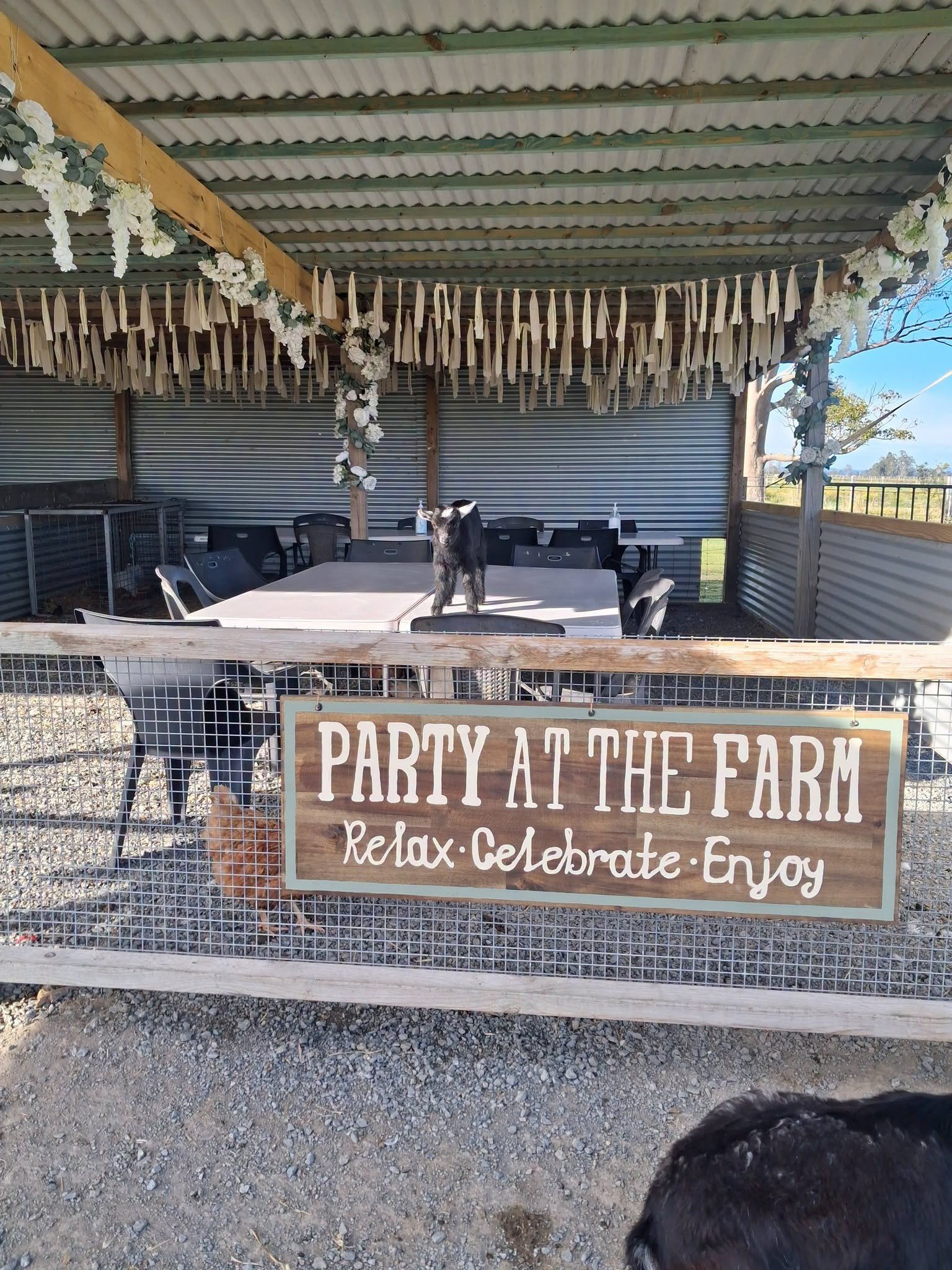 Premium Birthday Party Package