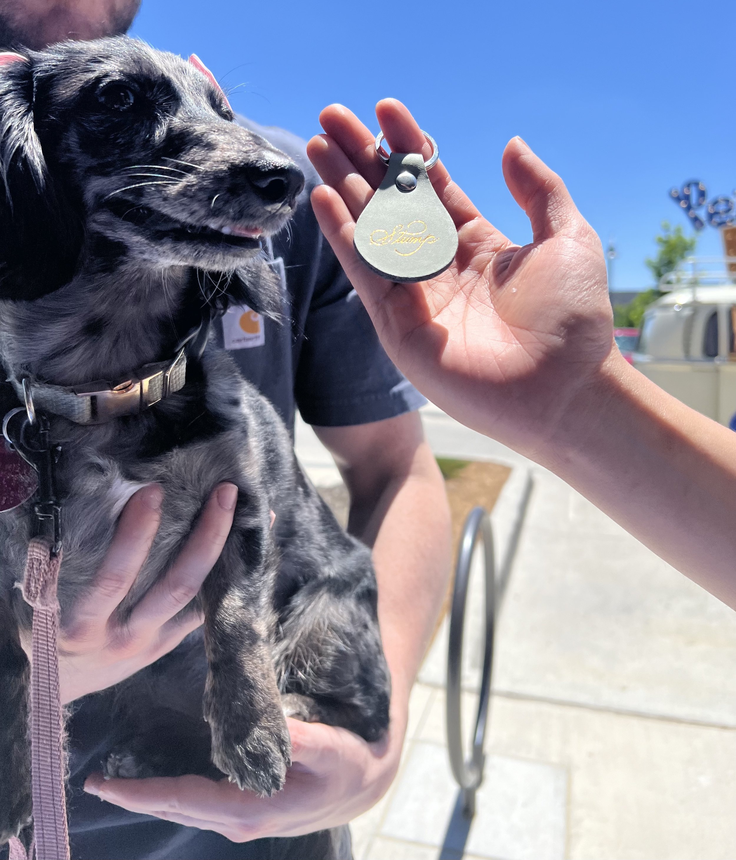 On the Art of Listening to Dogs (and Their Humans)