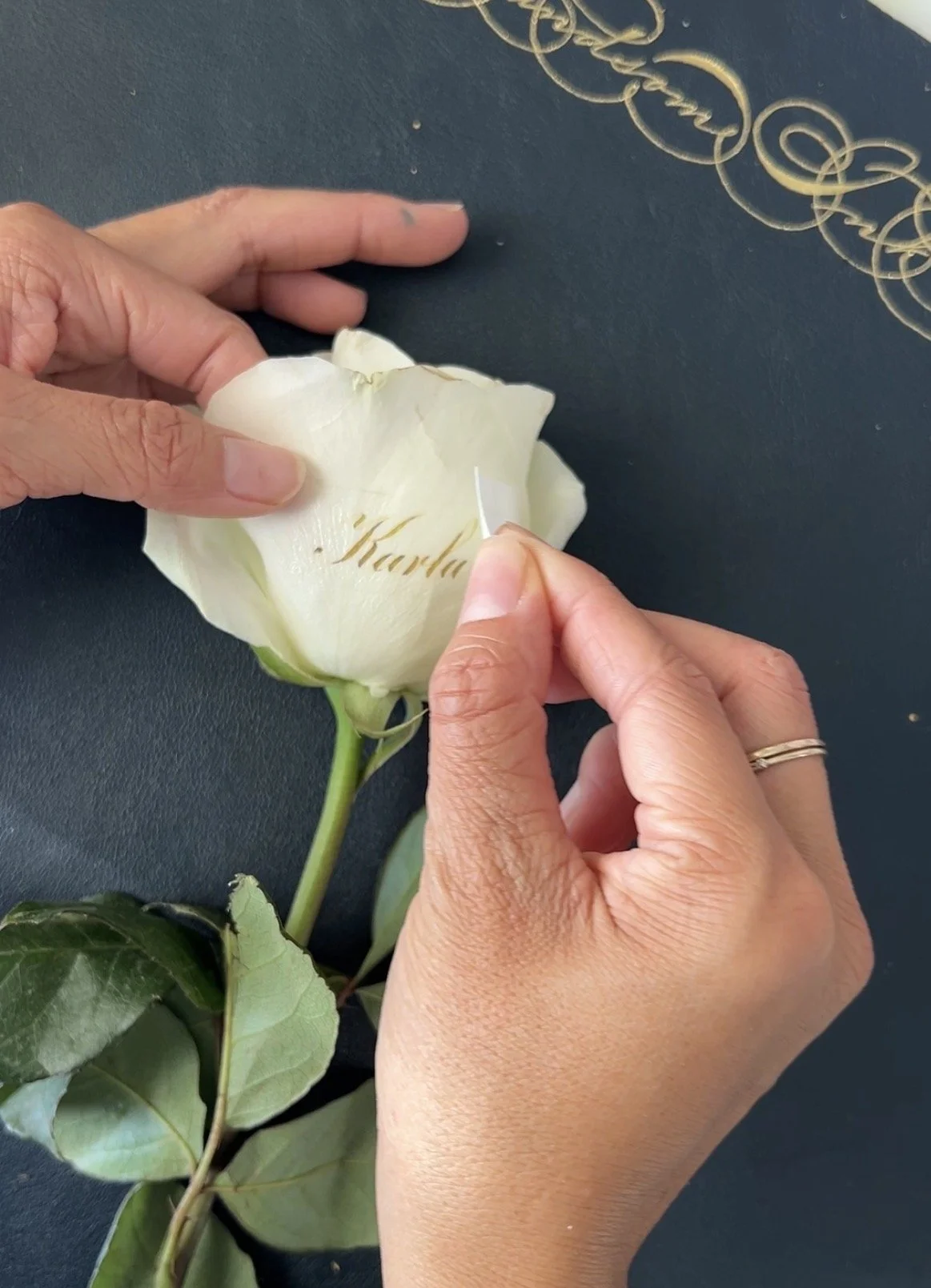 HandsomeInk-Calligraphy-Austin-Roses-TemporaryTattoo-Tutorial-Engrosser'sScript-AdhesiveSheet-Inkjet-RemoveTransfer.jpg