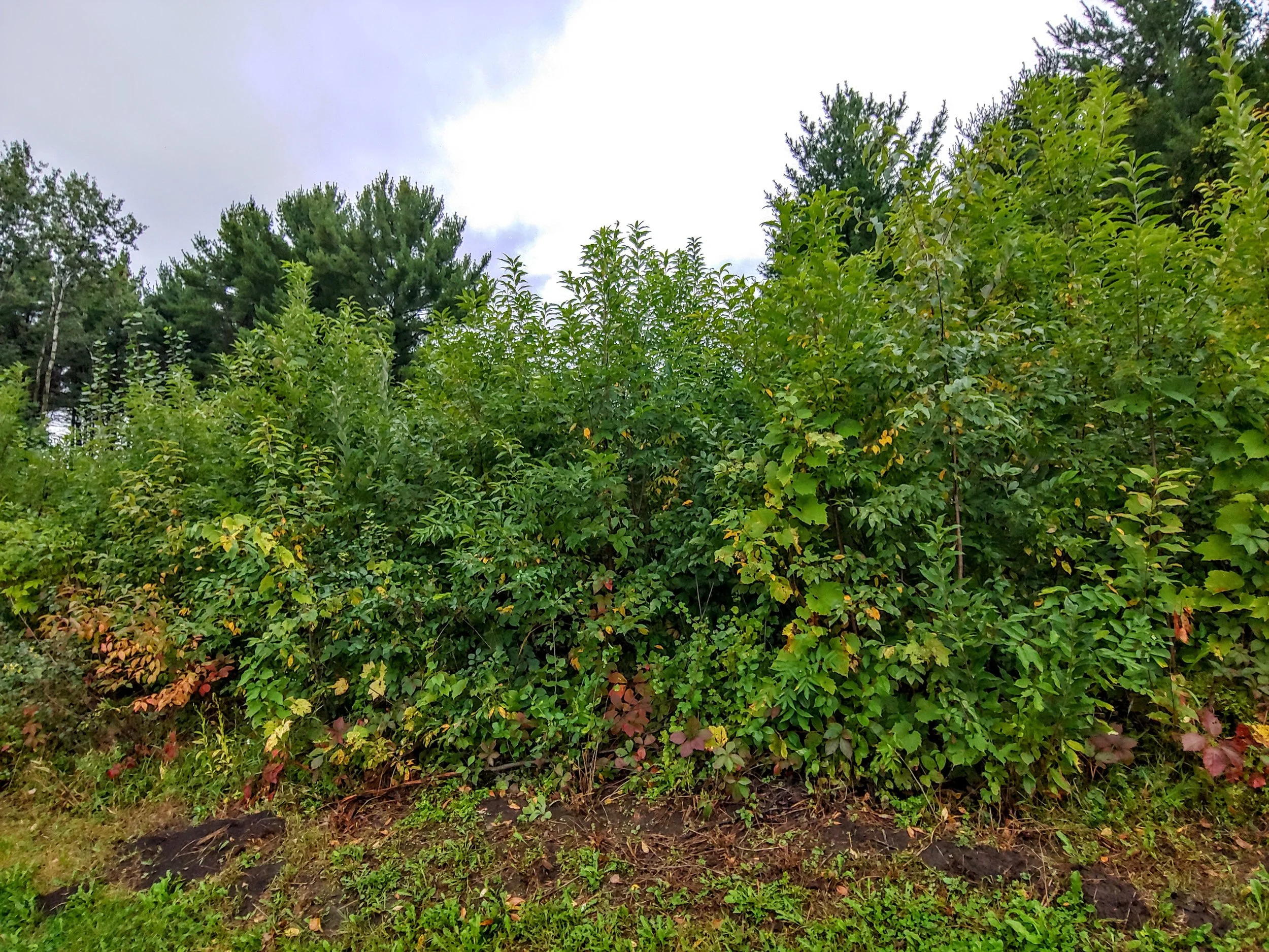 0917210912_HDR.jpg