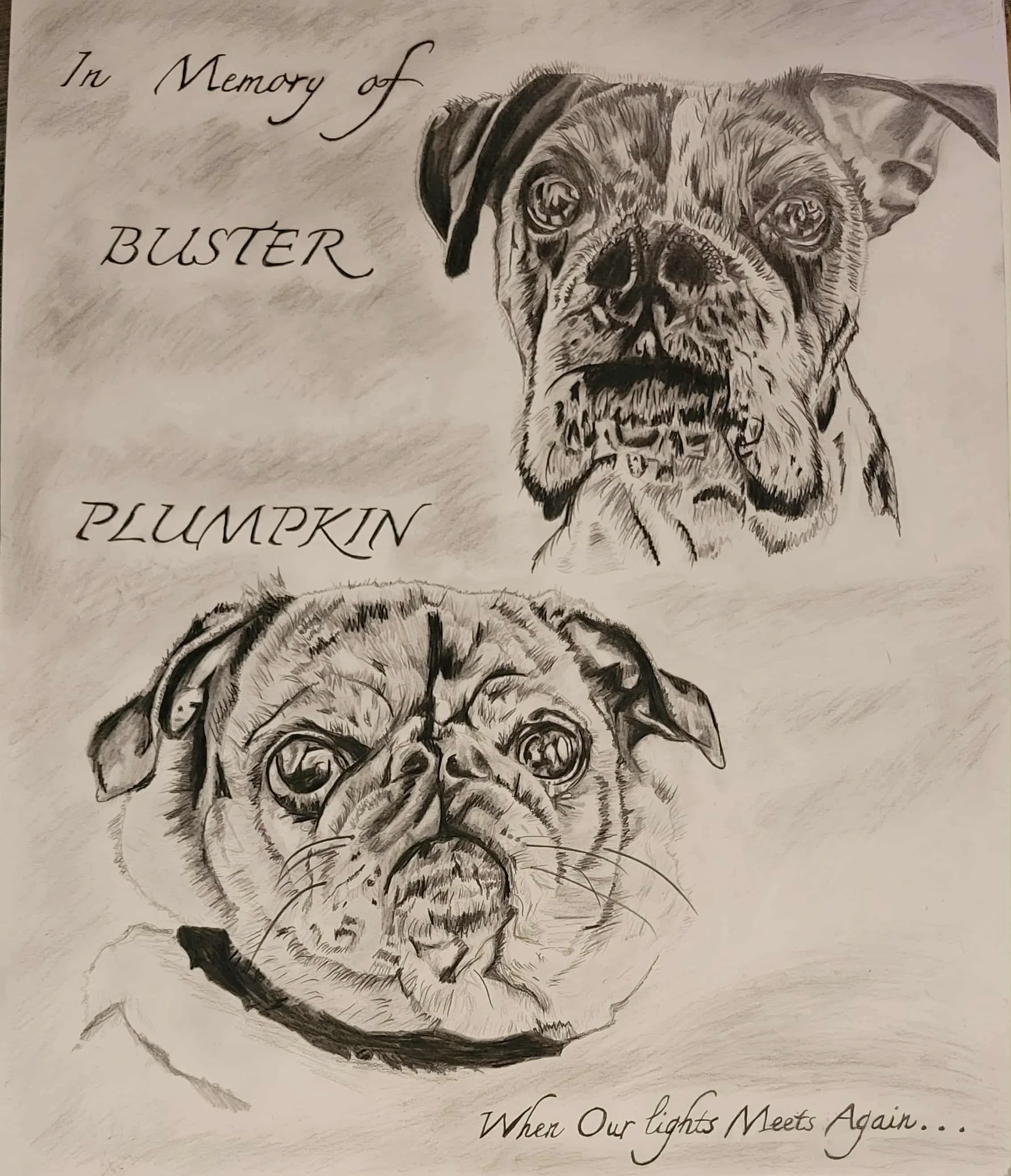 Plumpkin and Buster Portrait finished.jpg
