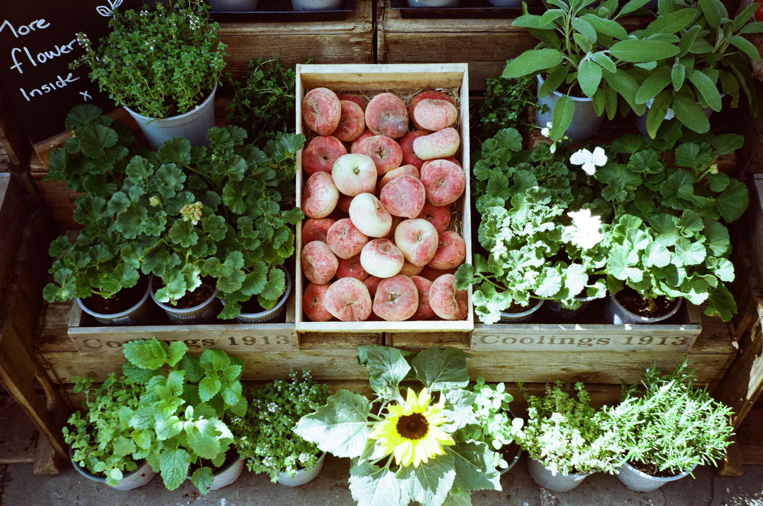 Fruit stand, London