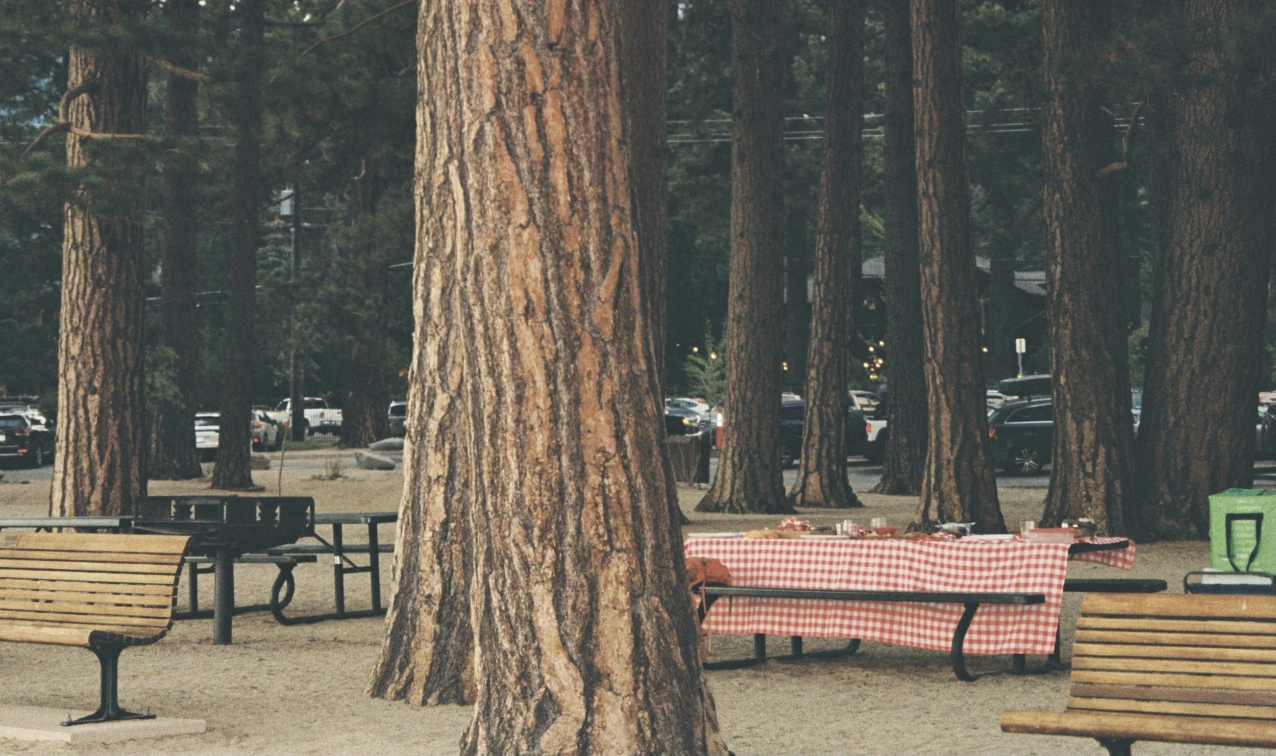 Abandoned picnic, Nevada