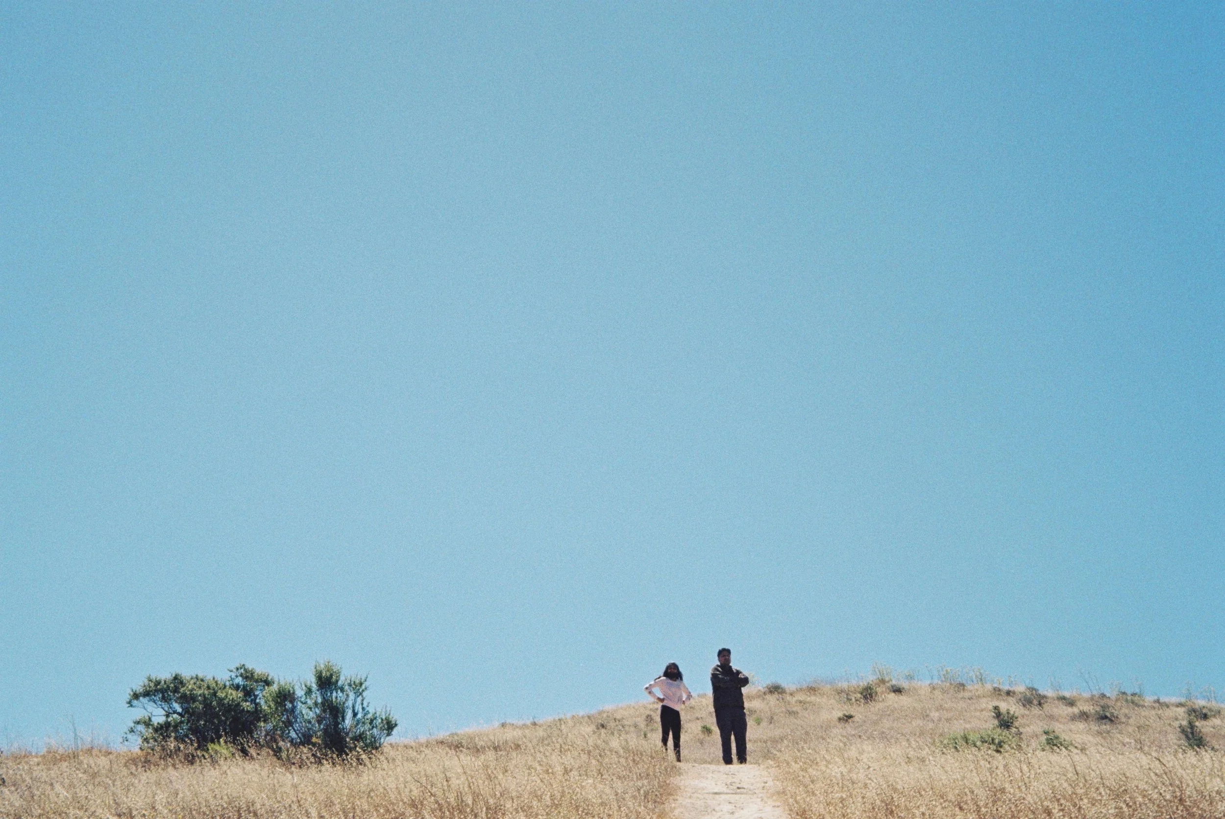 Kings of the castle, California