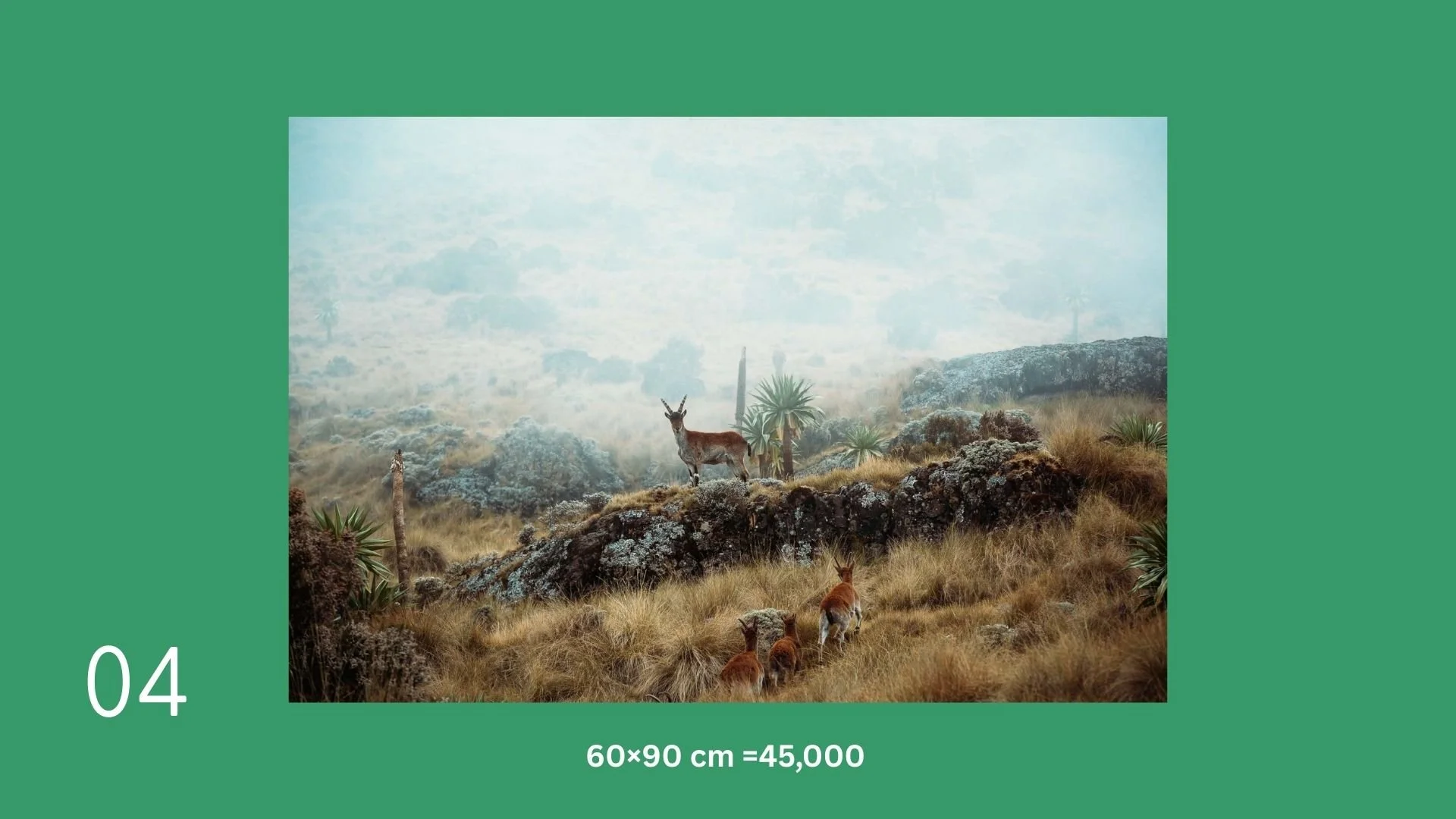 A landscape scene with a giraffe standing among desert plants and rocks, and three smaller animals, possibly antelopes, in the foreground.