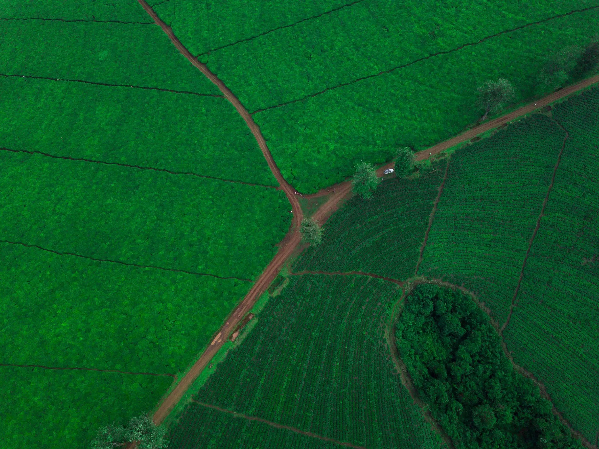 120x80 Oromiya 1.jpg