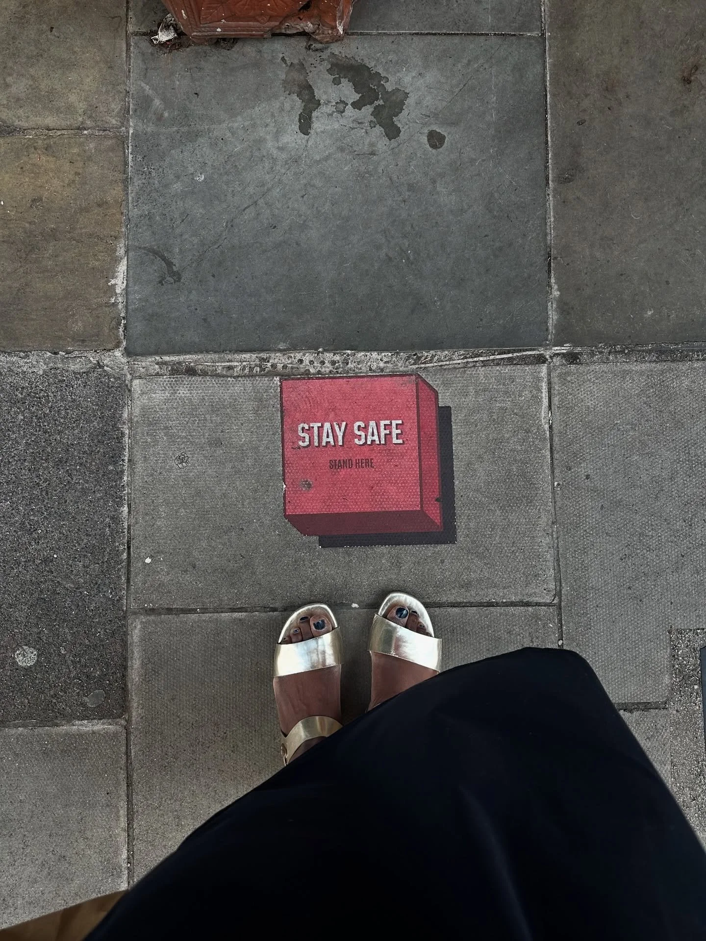 July – blink and it was gone.
A sign, perhaps, that I’ve been doing more of what I love: slowing down, soaking things in, finding joy in the small, the soulful, the still. Pure bliss.
In a world that feels increasingly chaotic, I’m