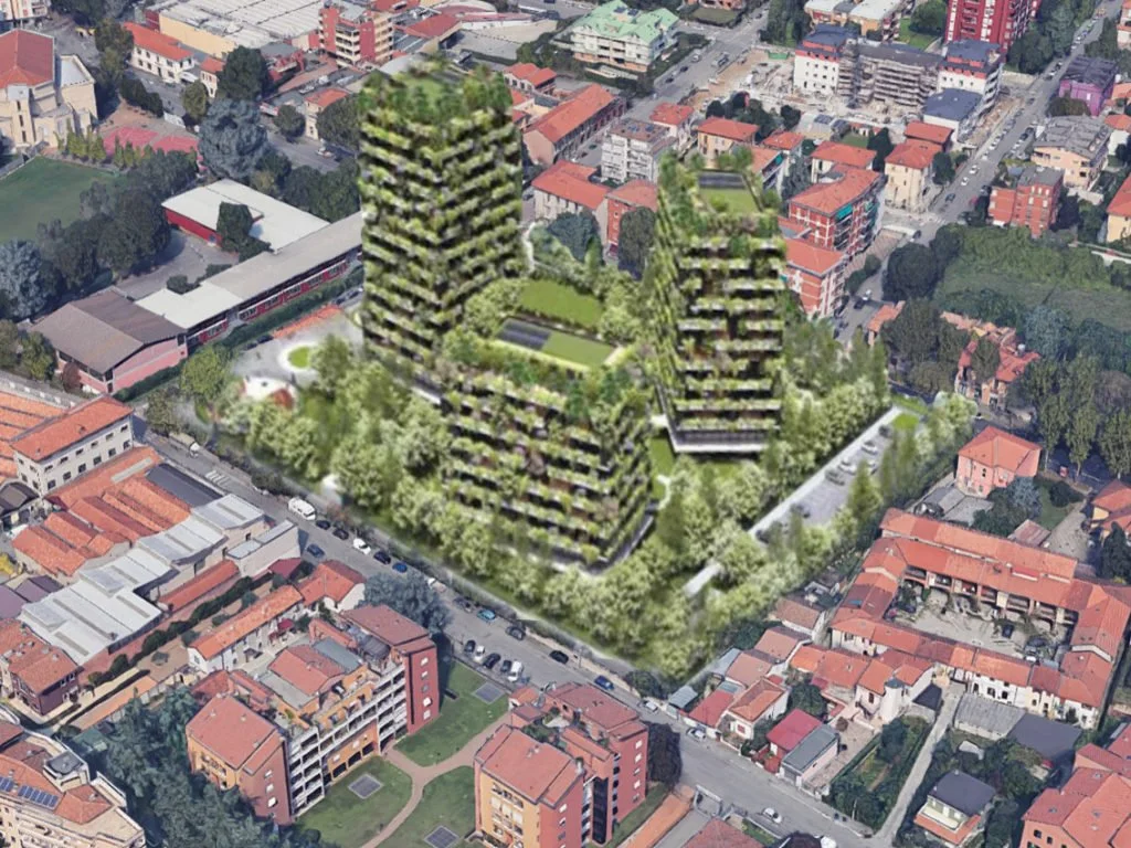 Il bosco “quasi” verticale