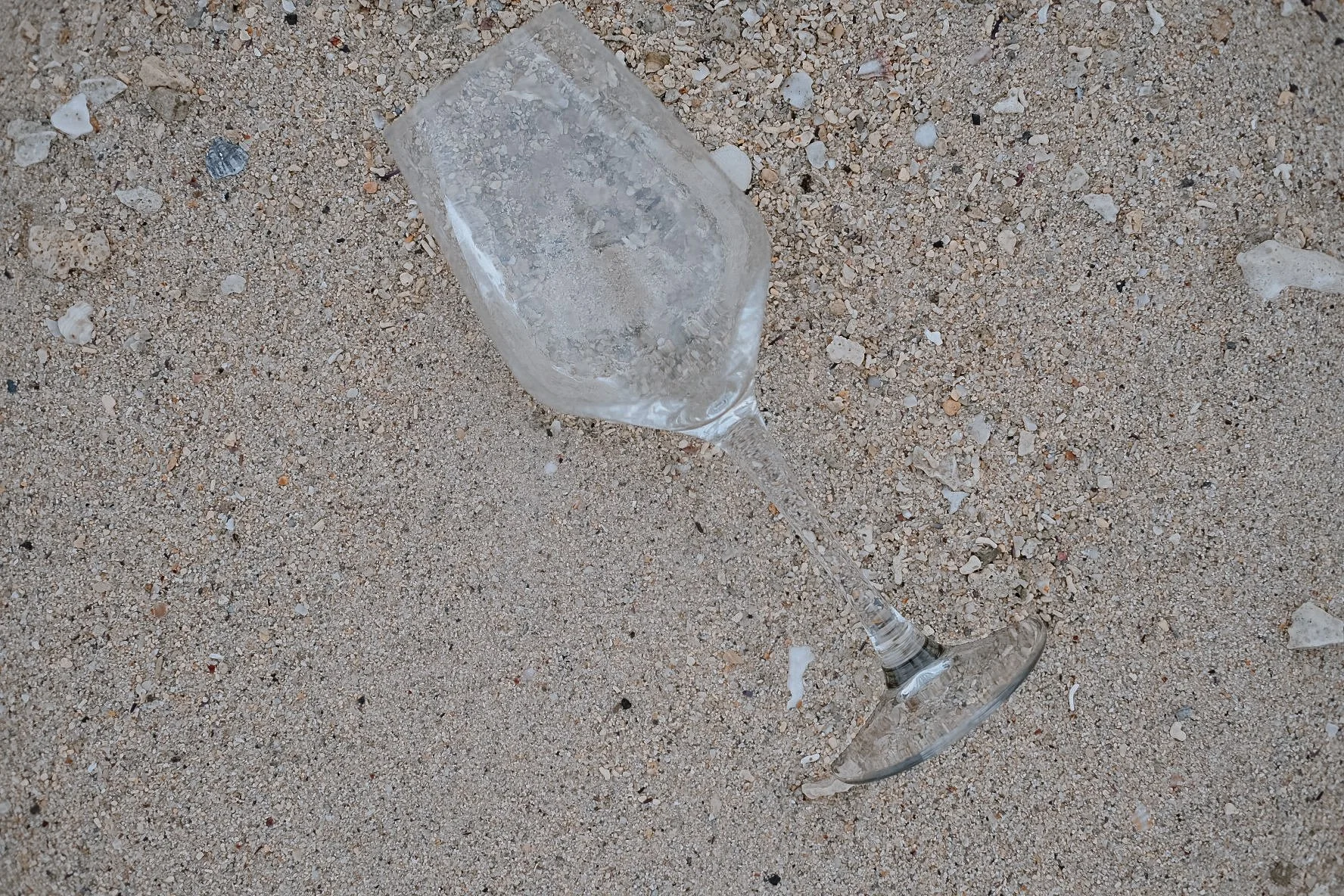 B79CBF7D-ED97-4ADE-9FA4-03F7C086546B-25527-000028A4AD169D9D 2.JPG