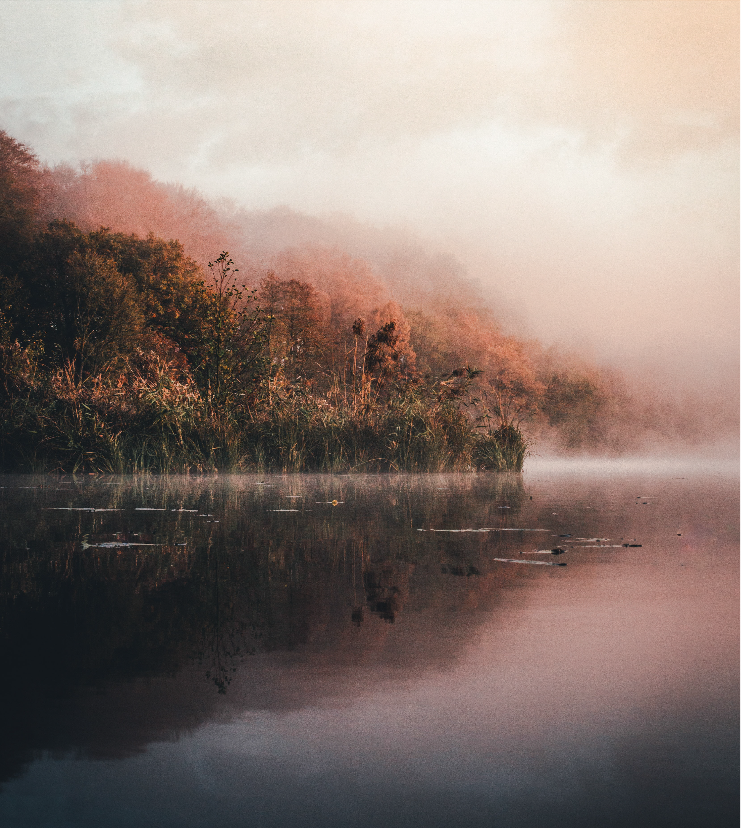 “A calm lake surrounded by nature, evoking stillness and nervous system regulation.”