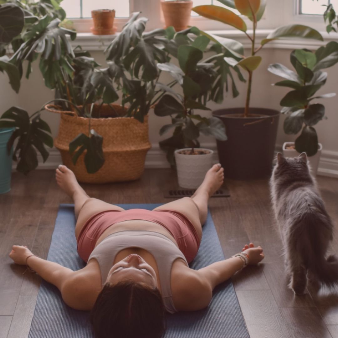 Warum ist dein K&ouml;rper der Schl&uuml;ssel zur Heilung?

Unser K&ouml;rper ist nicht nur ein physisches Gef&auml;&szlig;, sondern auch ein Tor zu unserer inneren Heilung. Breathwork ist eine Praxis, durch die wir diesen Schl&uuml;ssel zur Heilung 