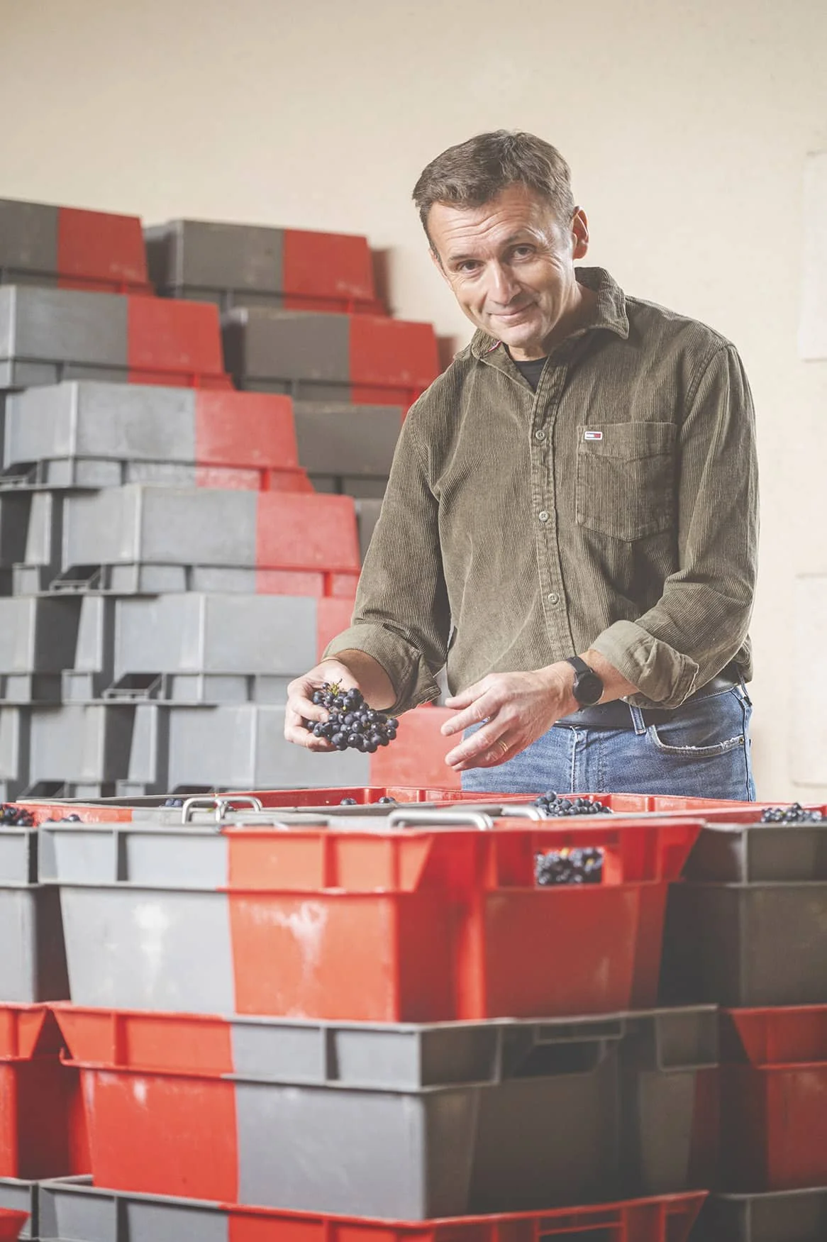 Pierre Vincent qui tient entre ses mains une grappe de Pinot Noir