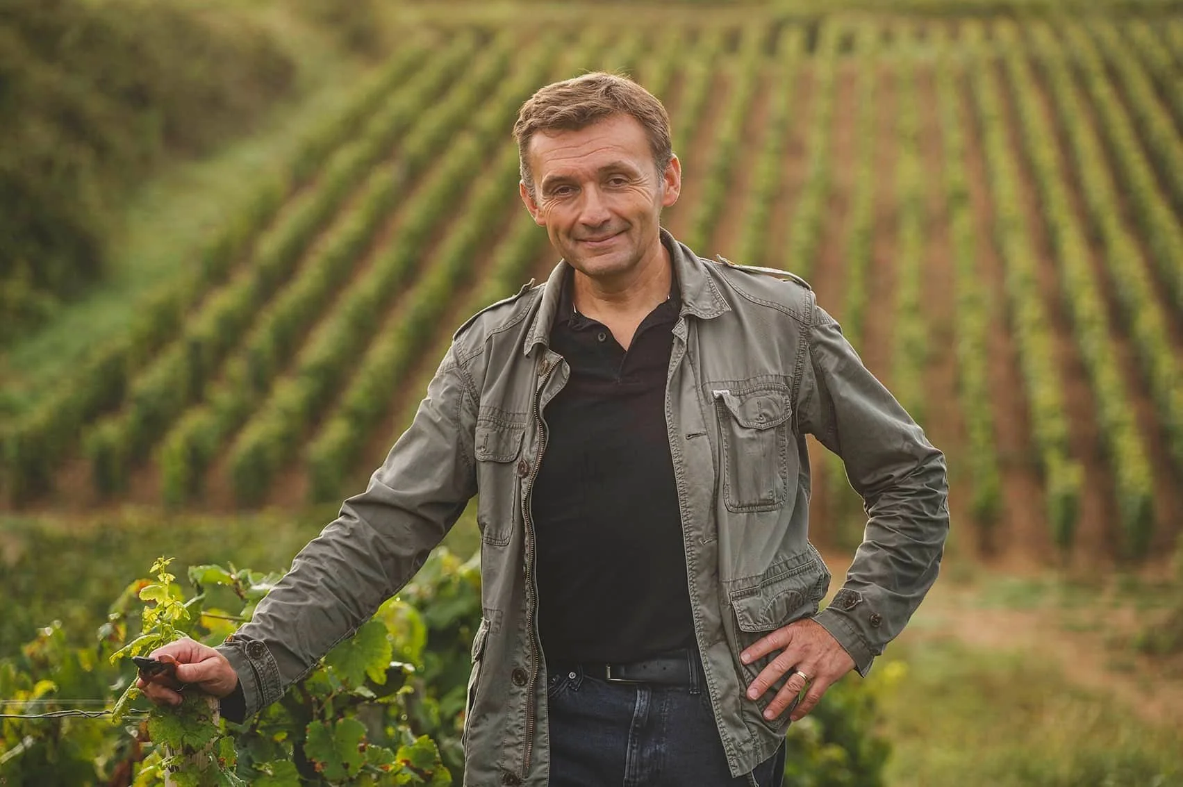 Homme souriant dans un vignoble en train de tenir une branche de vigne, fond de rangées de vignes.