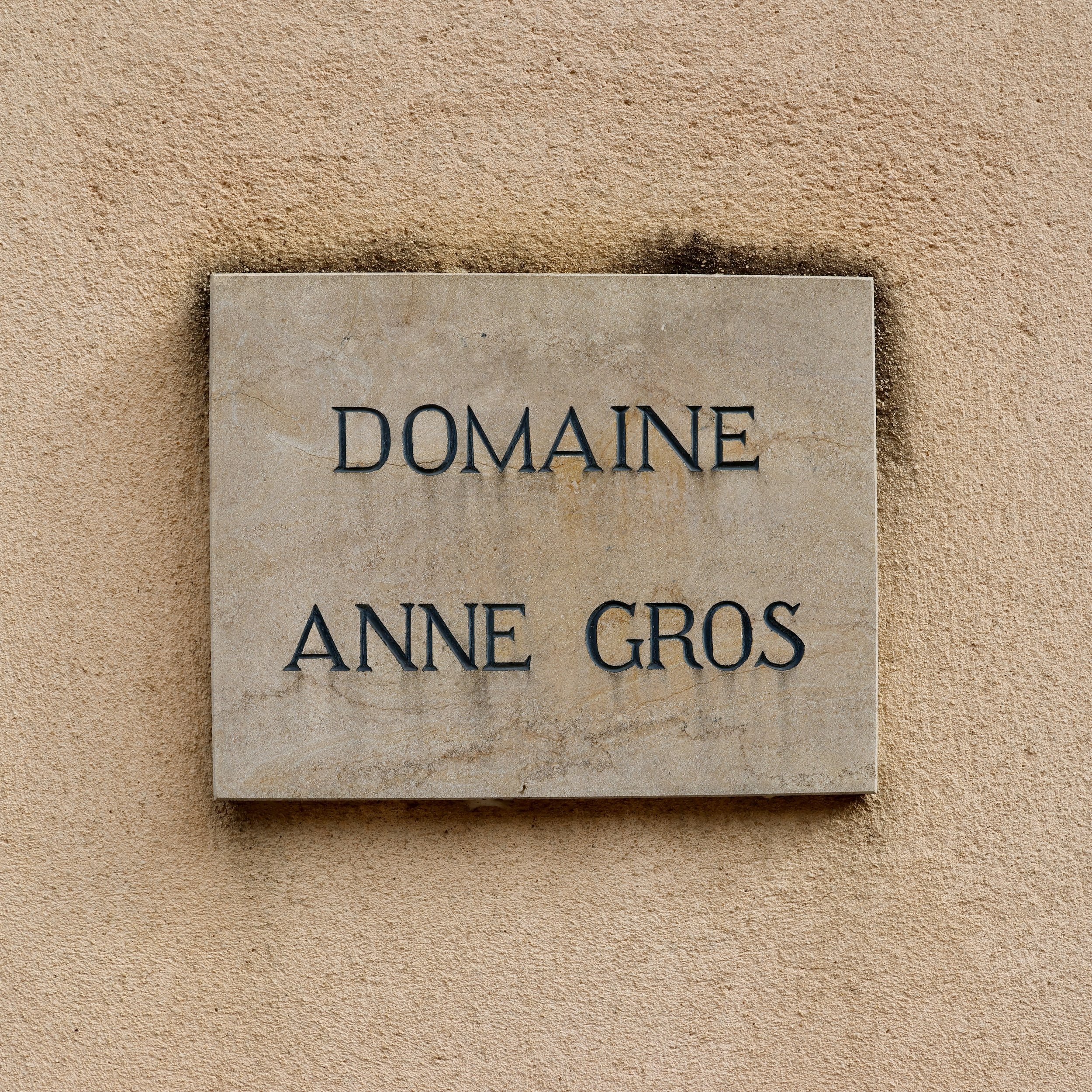 The domain