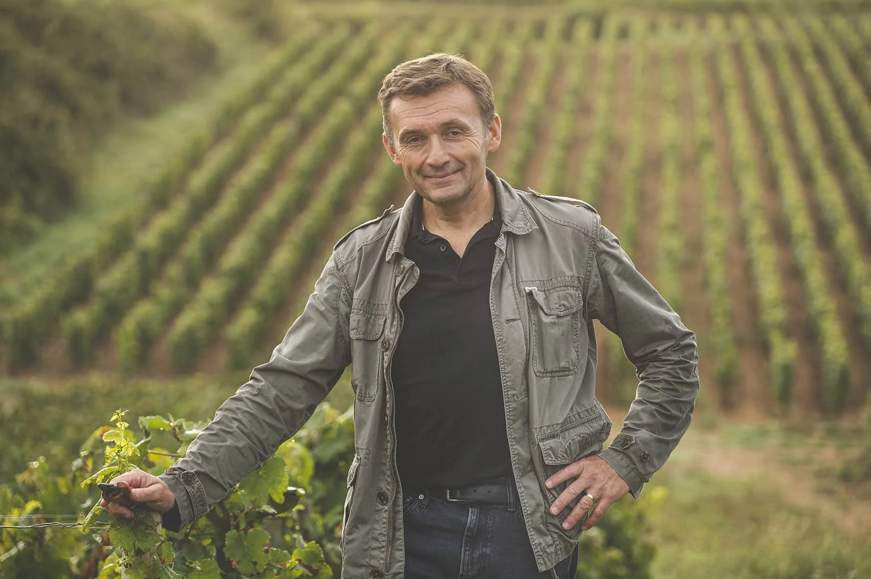 Pierre Vincent dans ses vignes