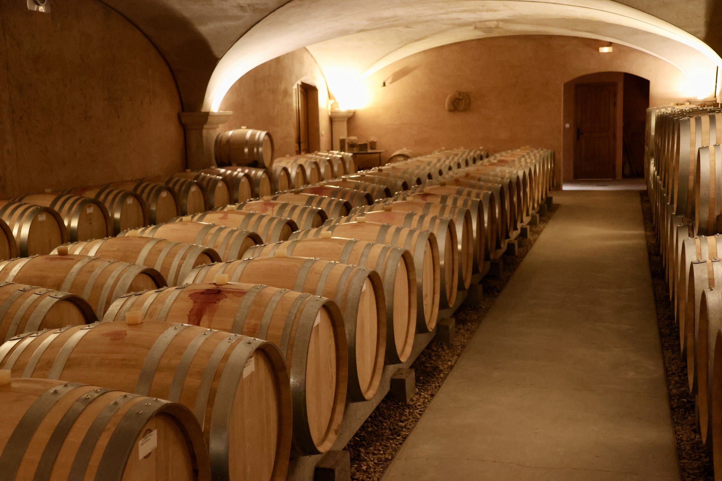 The cellar