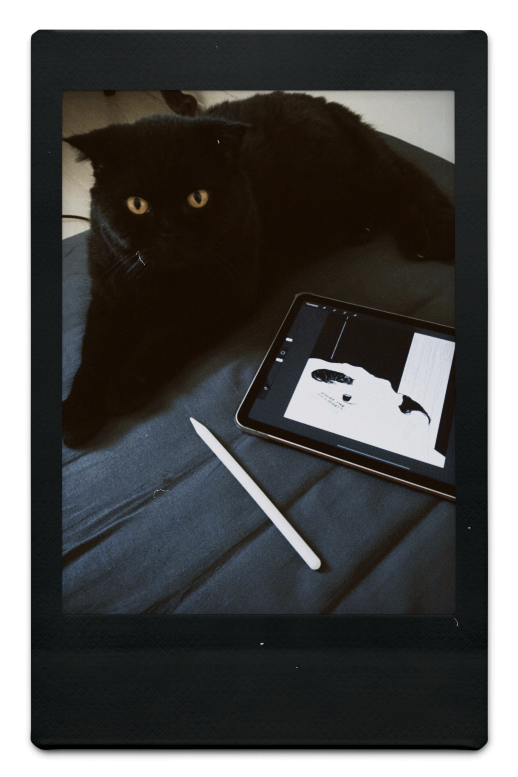 Artist's cat. Black cat lying on a dark bed next to a tablet displaying an art image and a stylus pen.