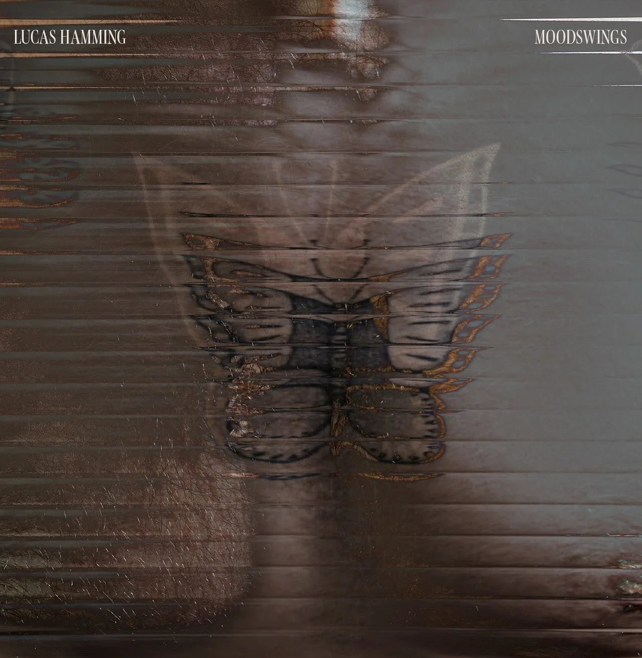 🧡🖤 NEW MUSIC FRIDAY met Amber Music tracks in New Music Friday NL en Country & Americana op Spotify!🖤🧡
@lucashamming 
@misterandmrs_official 
@reneerosemusic 
@kindhumankindhuman 
@samserlier 
@quibussounds 
@paxthehumanoid 
@mehdiraji_ 
@we