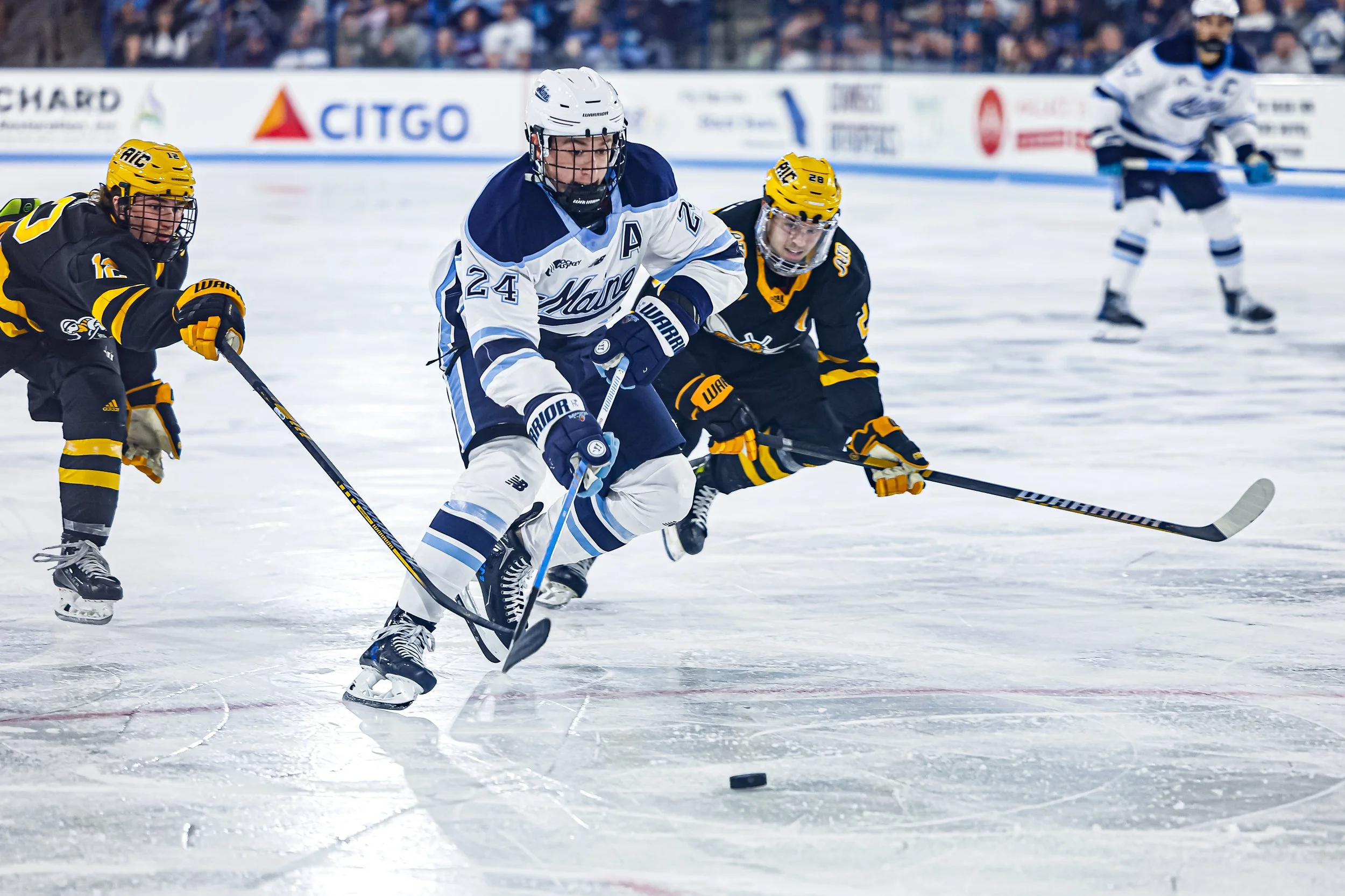 Senior Spotlight pt1 — 'Til The Rafters Ring
