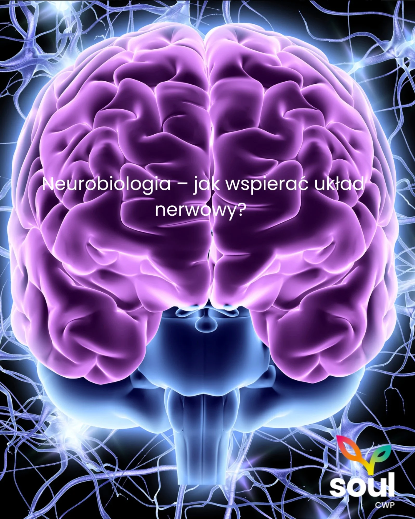 Neurobiologia – jak wspierać układ nerwowy?